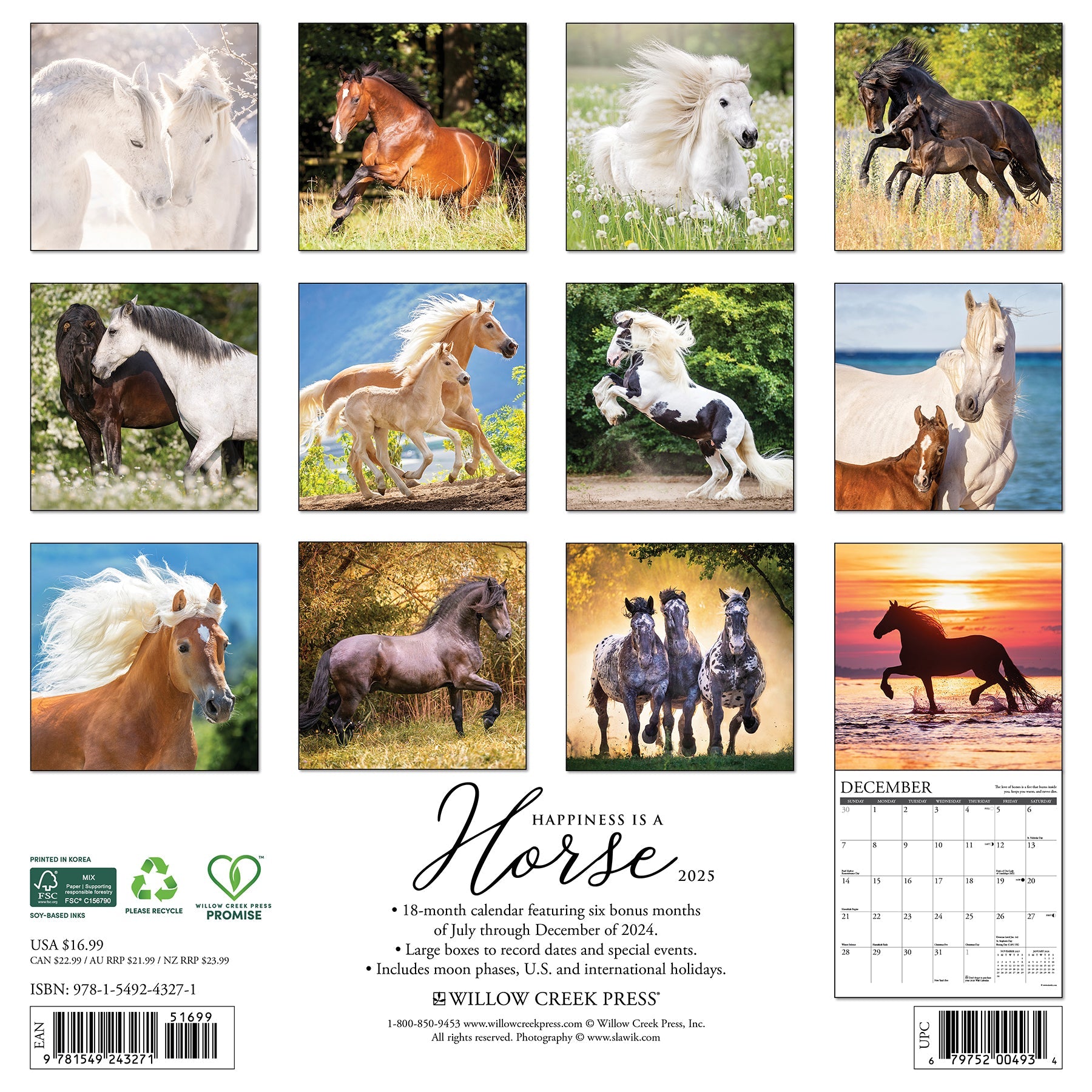 2025 Happiness is a Horse - Square Wall Calendar
