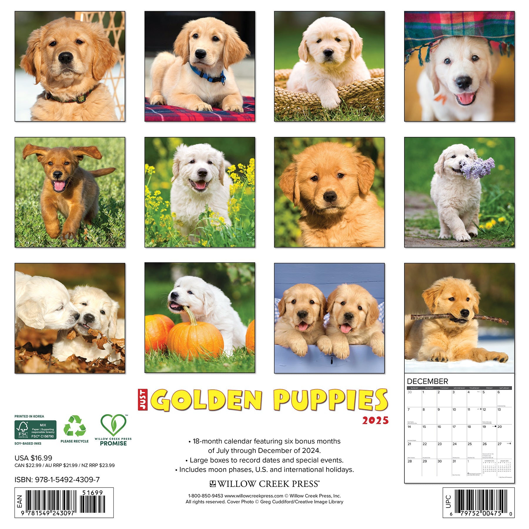 2025 Golden Puppies - Square Wall Calendar