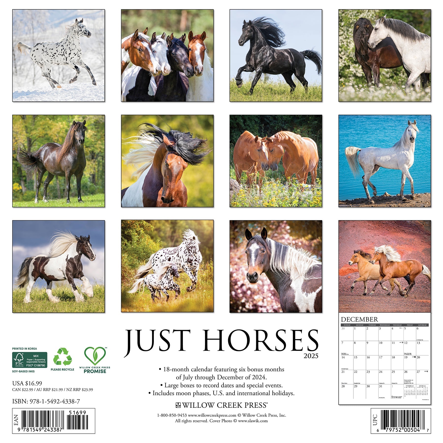 2025 Horses - Square Wall Calendar