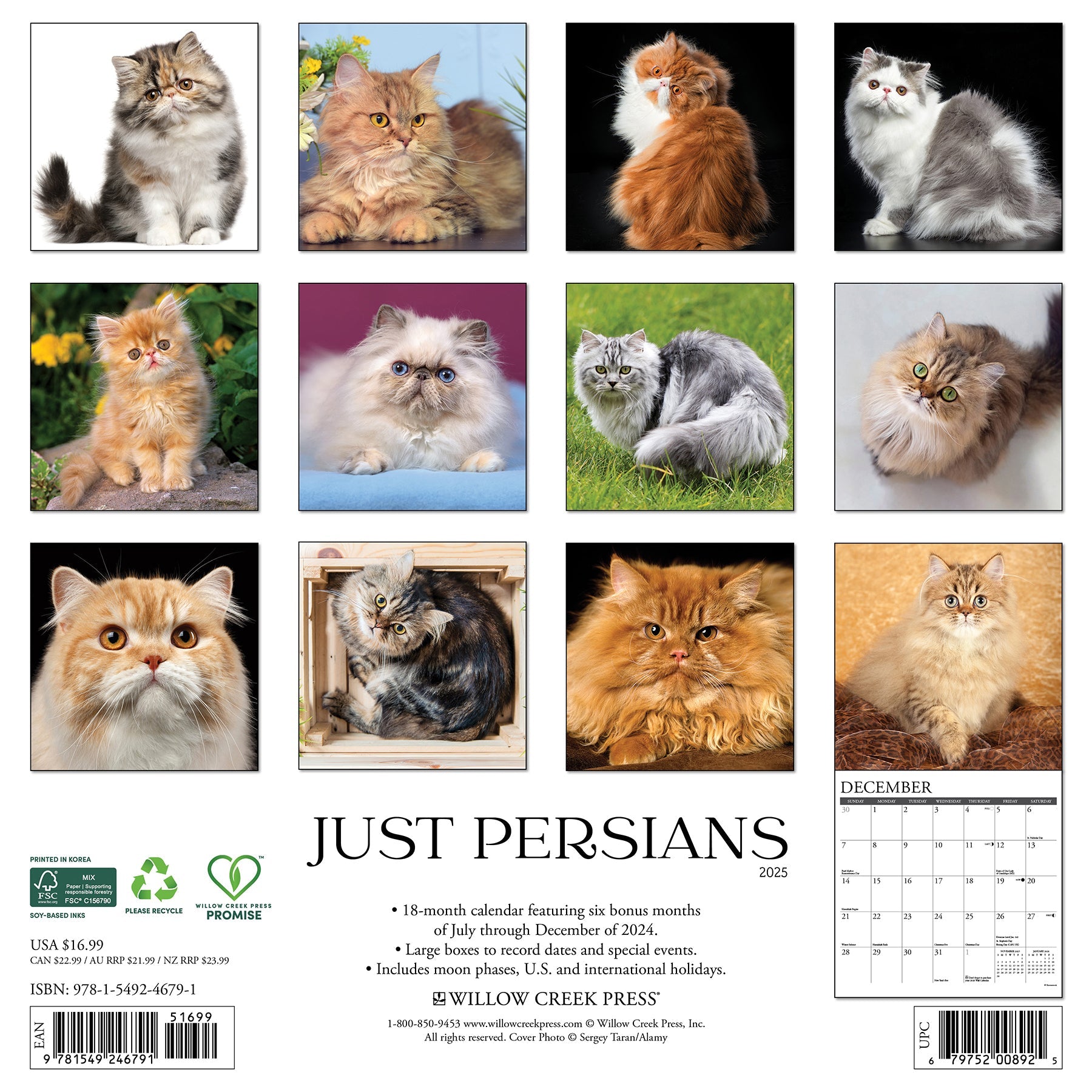 2025 Persians - Square Wall Calendar