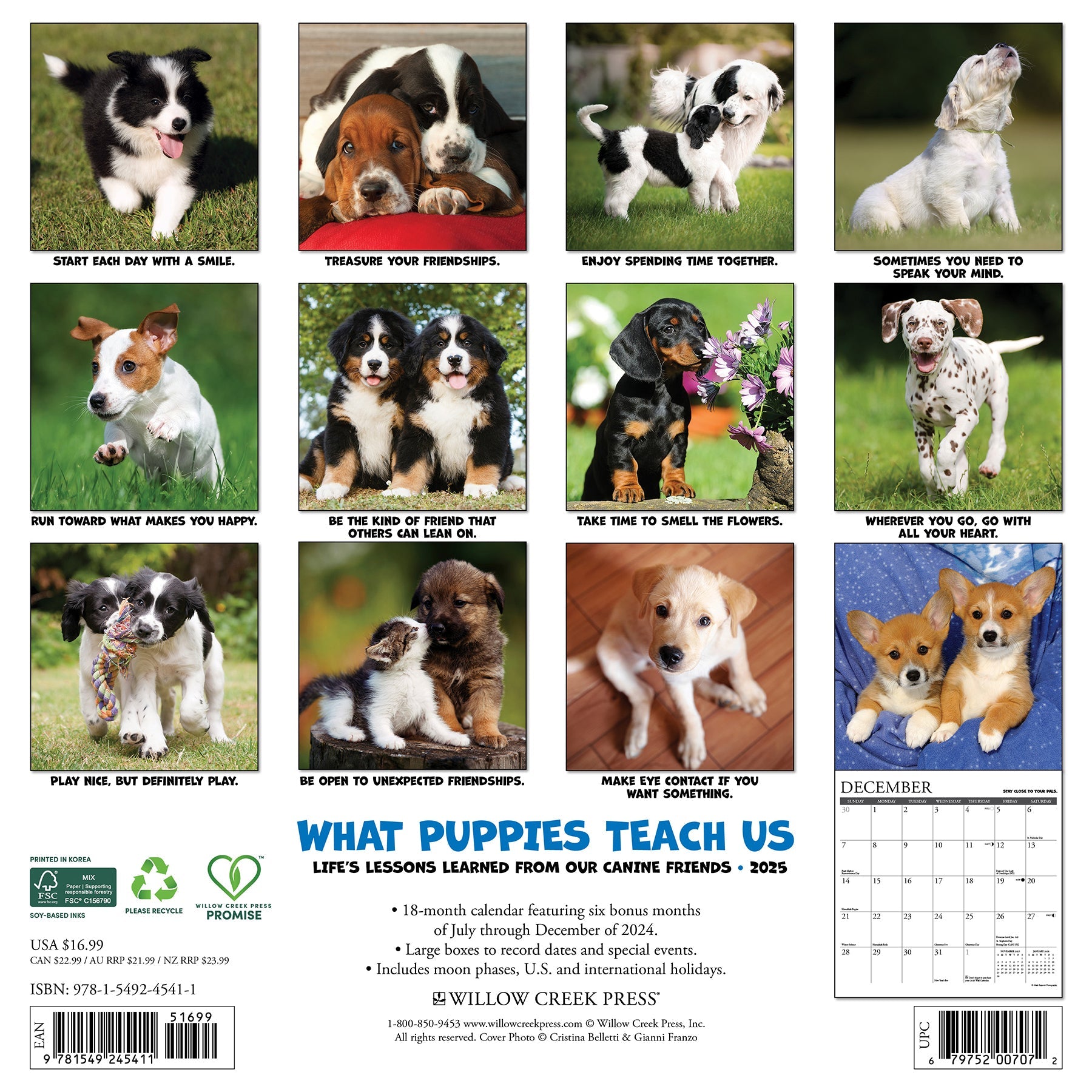 2025 What Puppies Teach Us - Square Wall Calendar