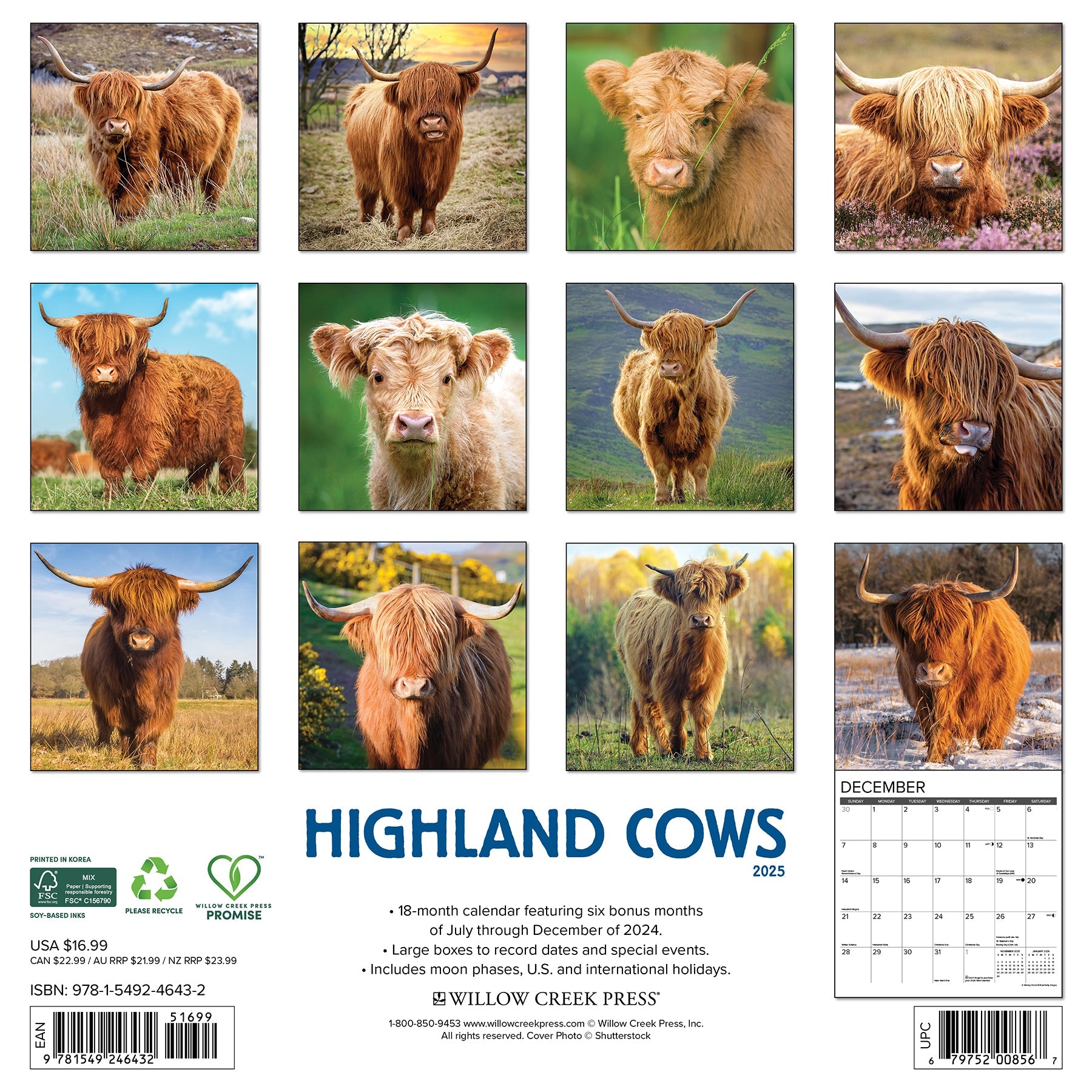 2025 Highland Cows - Square Wall Calendar