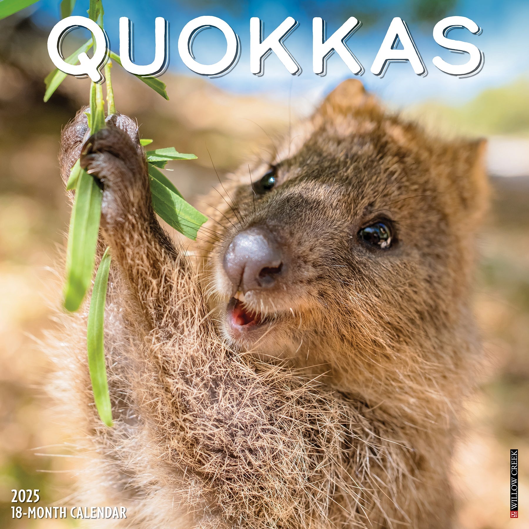 2025 Quokkas - Square Wall Calendar