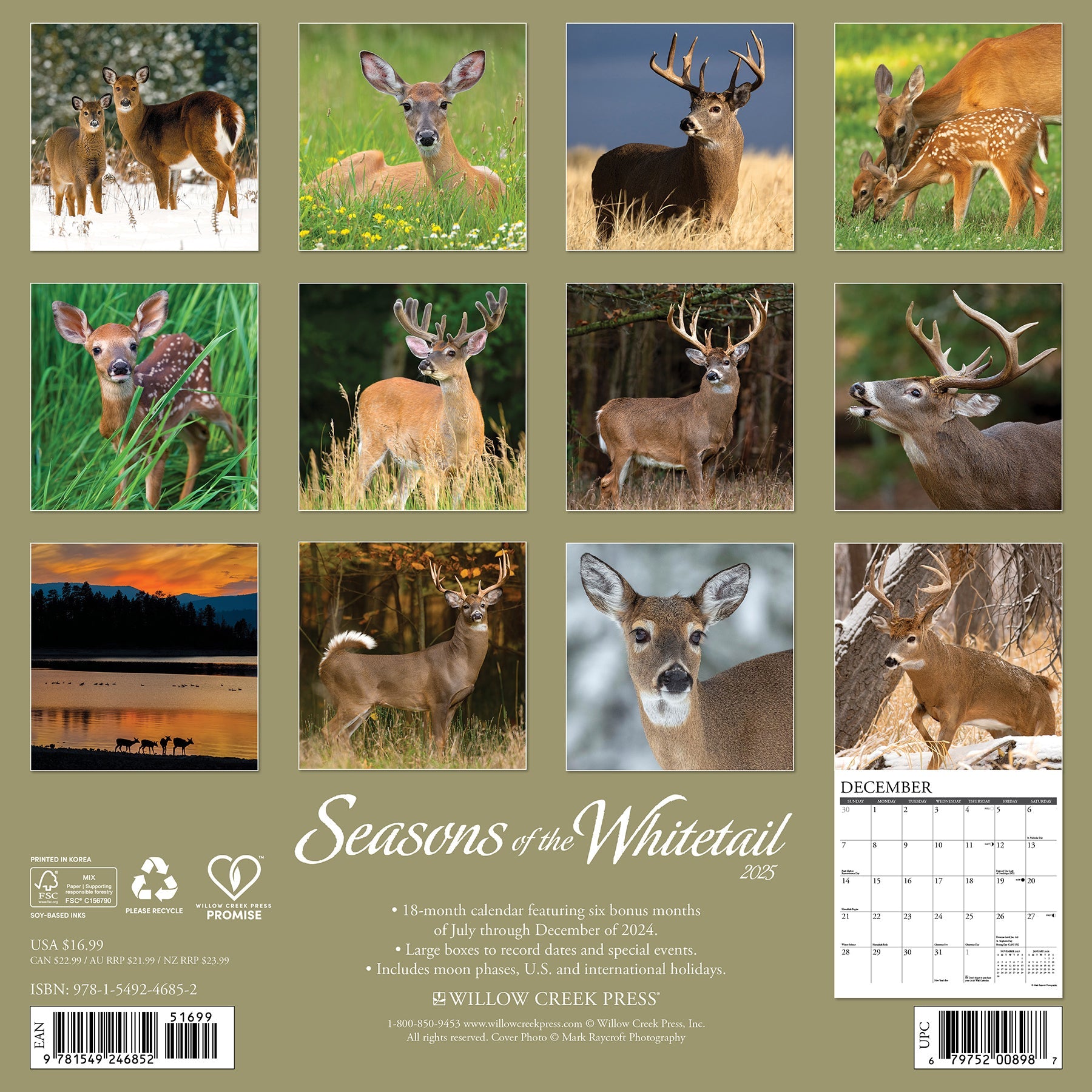 2025 Seasons of the Whitetail (Deer) - Square Wall Calendar