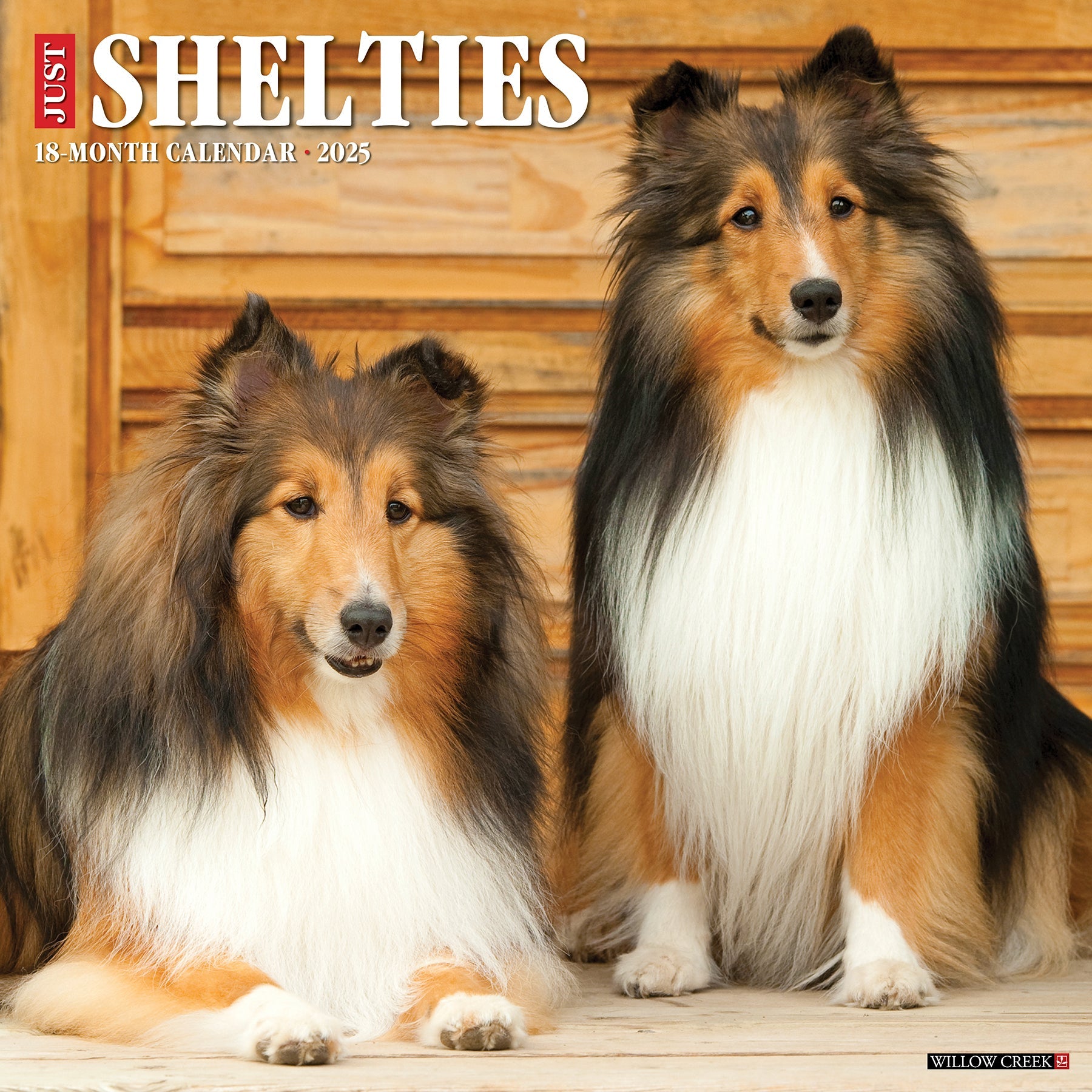 2025 Shelties - Square Wall Calendar