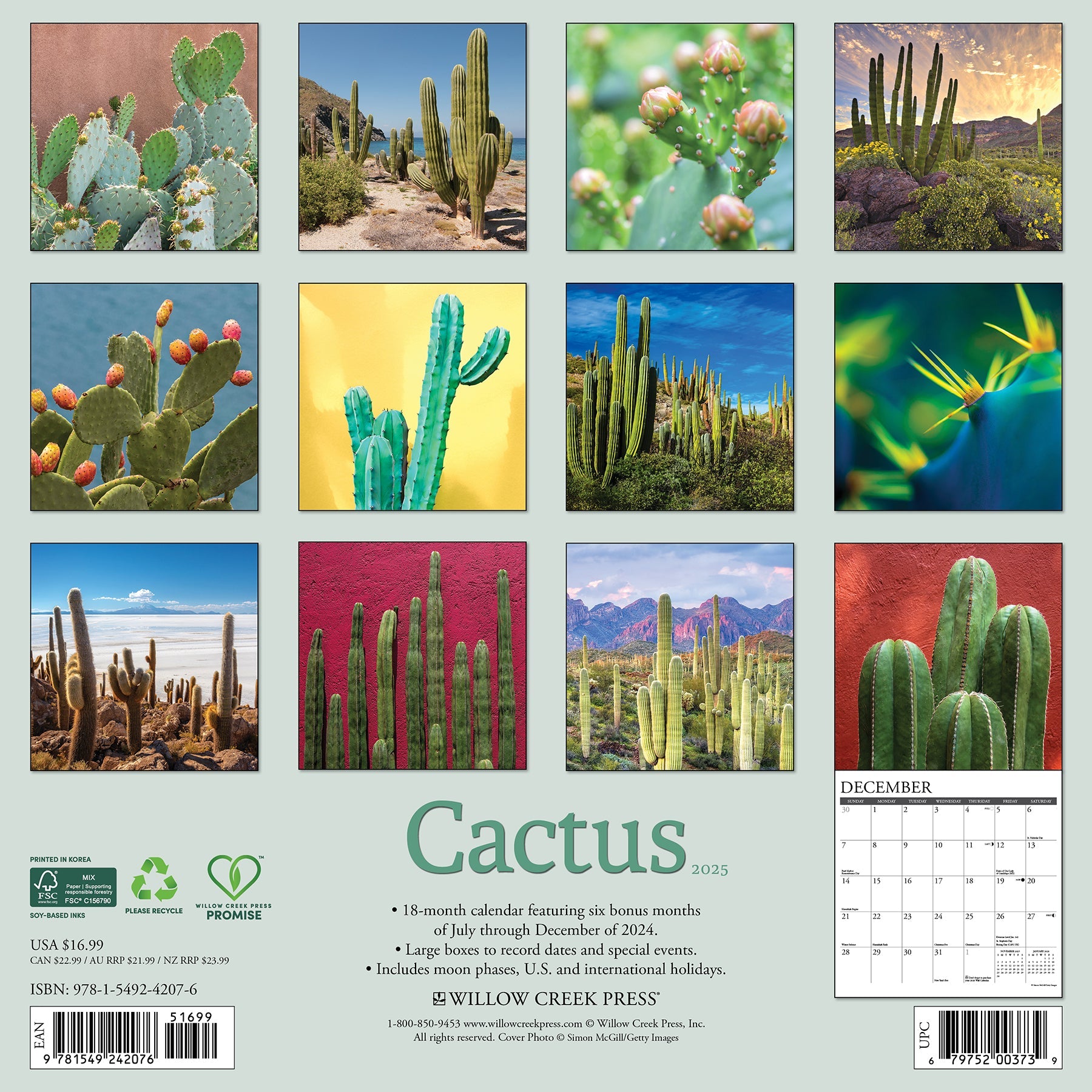 2025 Cactus - Square Wall Calendar