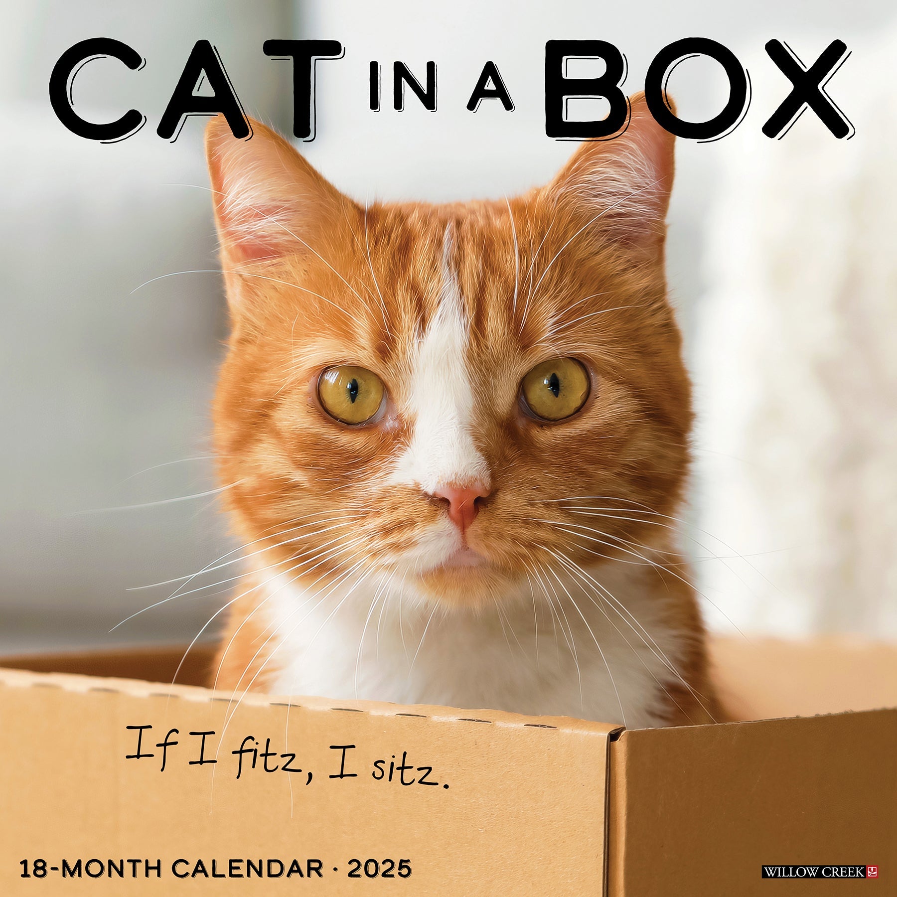 2025 Cat in a Box - Square Wall Calendar