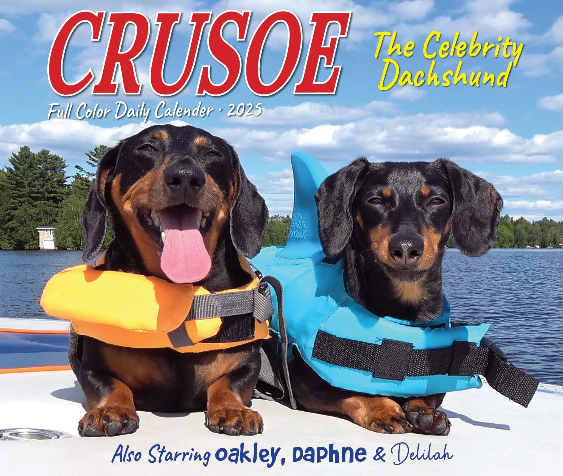 2025 Crusoe the Celebrity Dachshund - Daily Boxed Page-A-Day Calendar