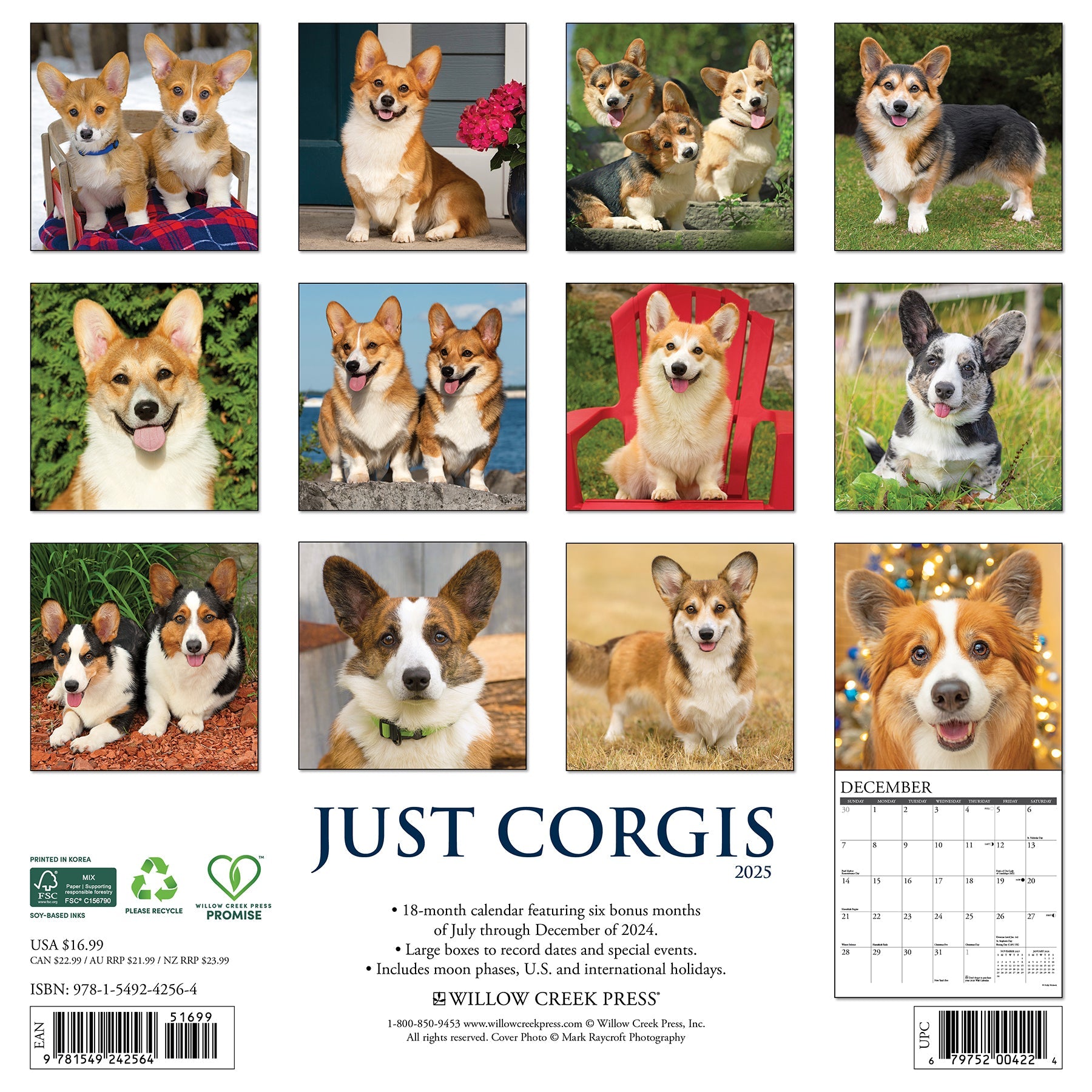 2025 Corgis - Square Wall Calendar