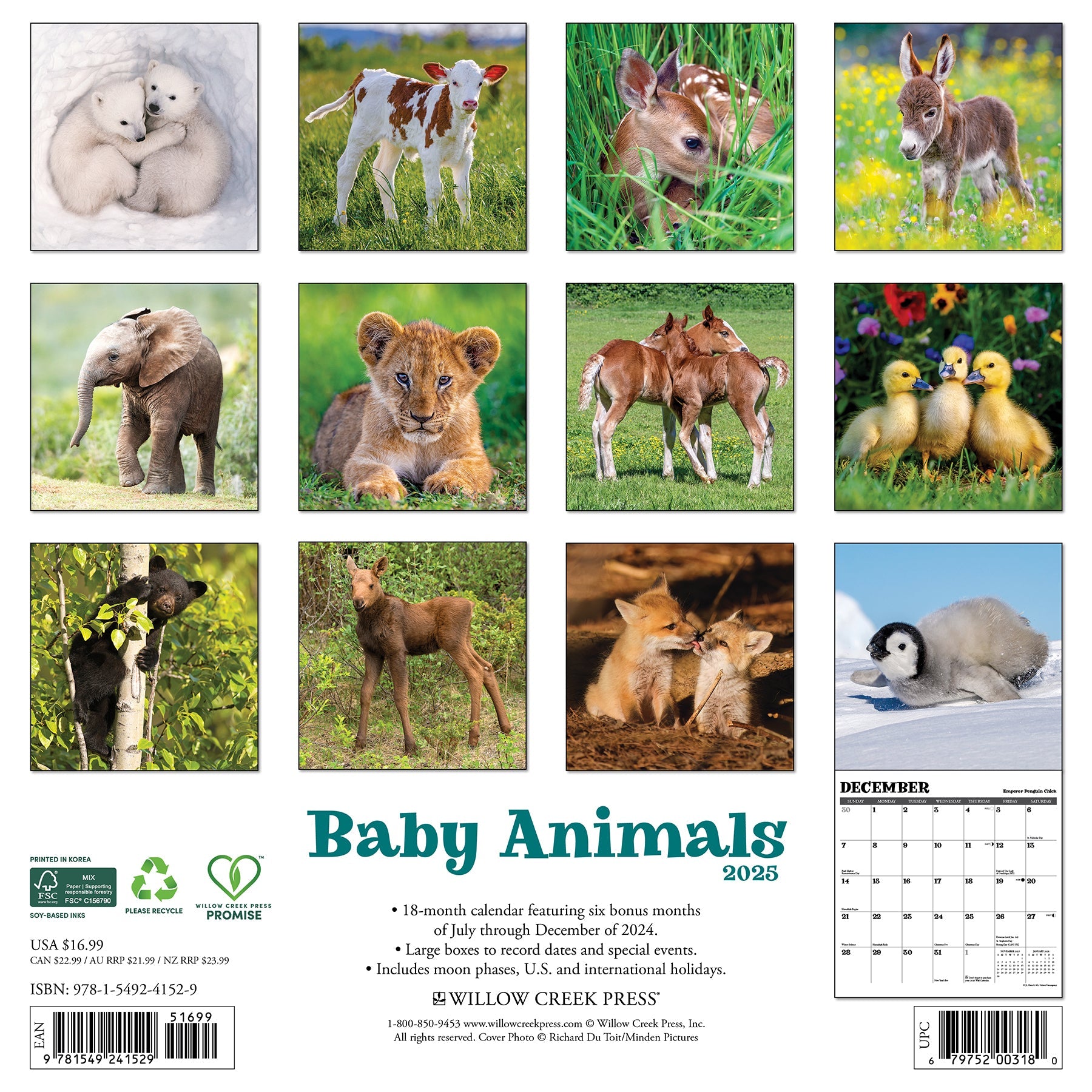 2025 Baby Animals - Square Wall Calendar