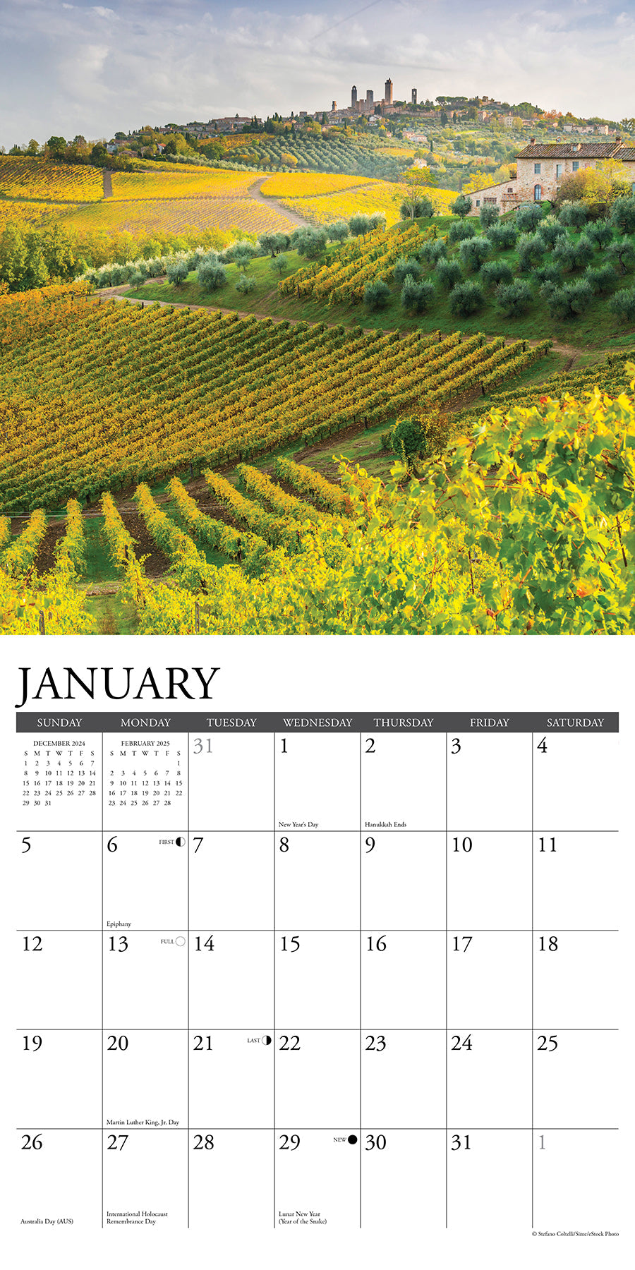 2025 Vineyards - Square Wall Calendar