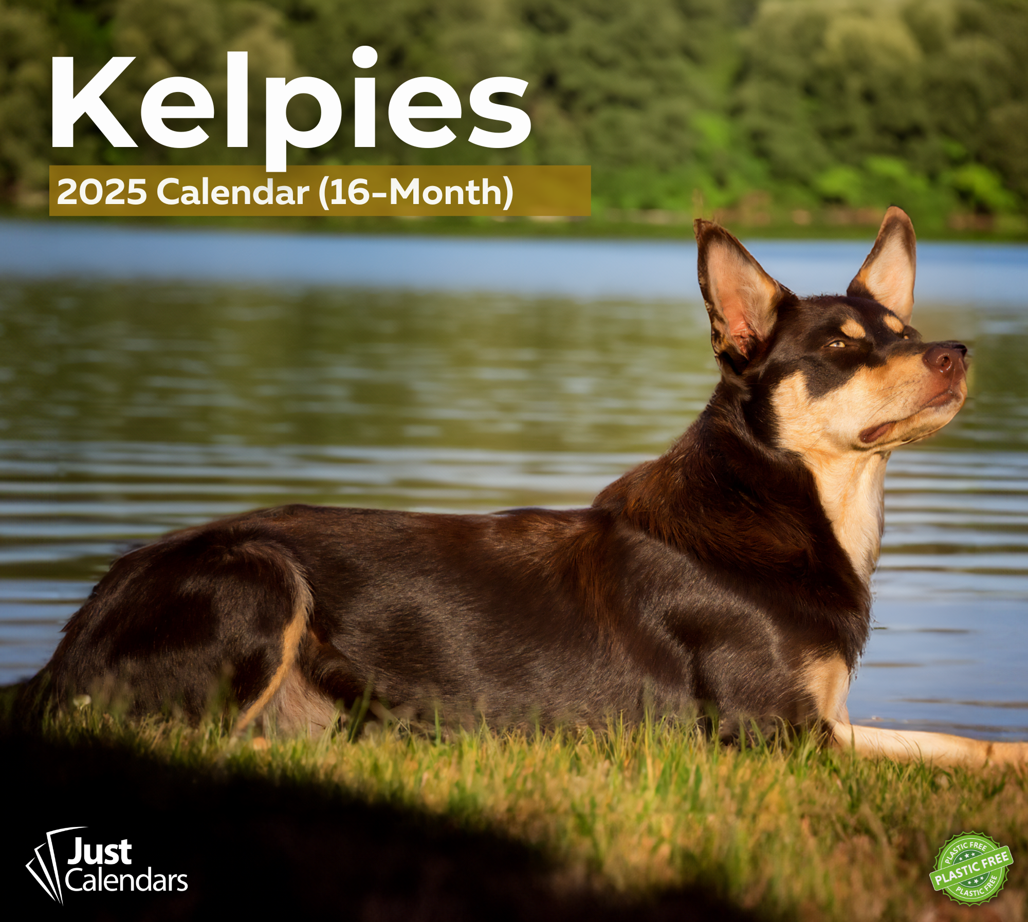 2025 Kelpies - Deluxe Wall Calendar