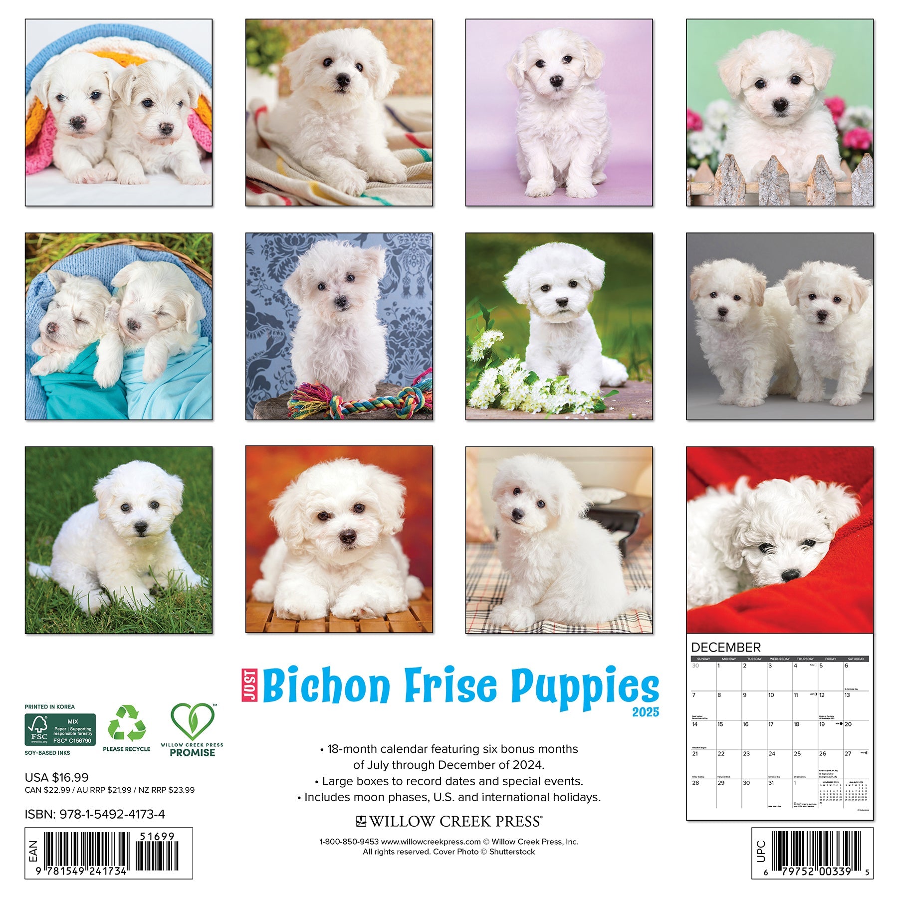 2025 Bichon Frise Puppies - Square Wall Calendar