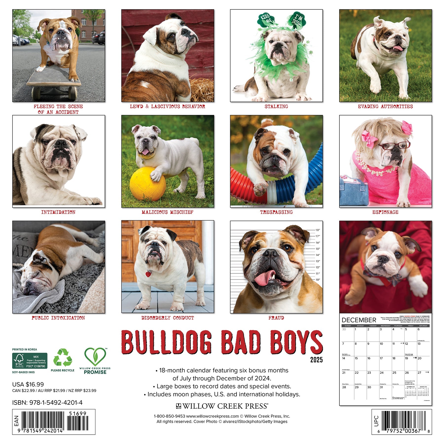 2025 Bulldog Bad Boys - Square Wall Calendar