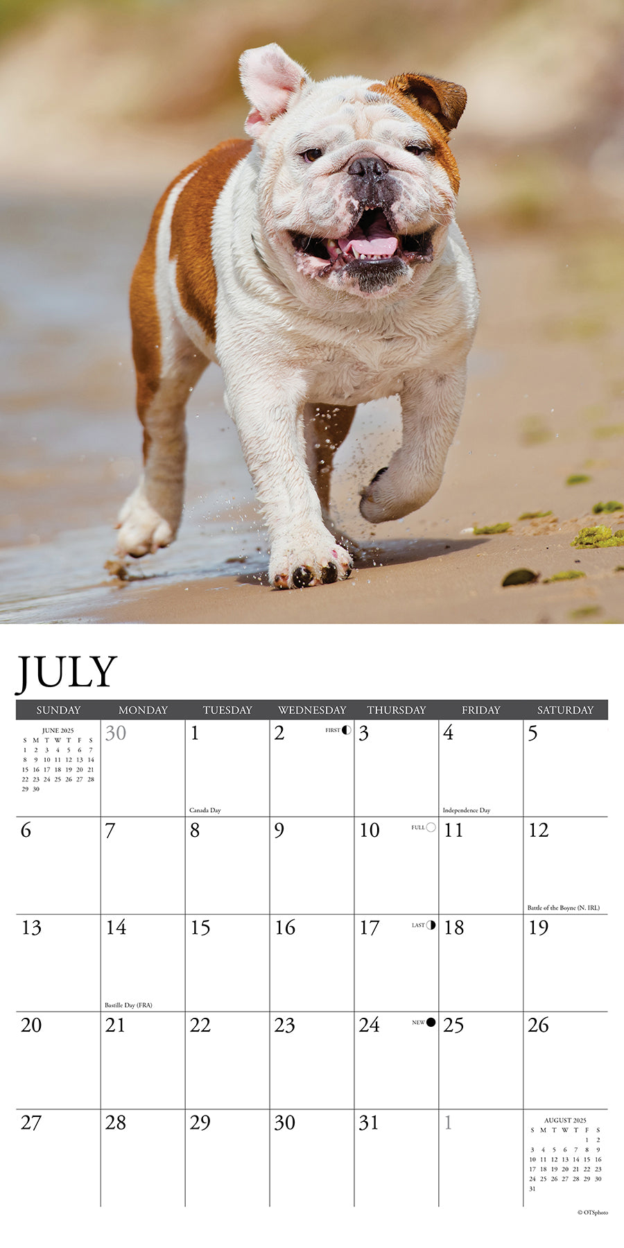 2025 Bulldogs - Square Wall Calendar