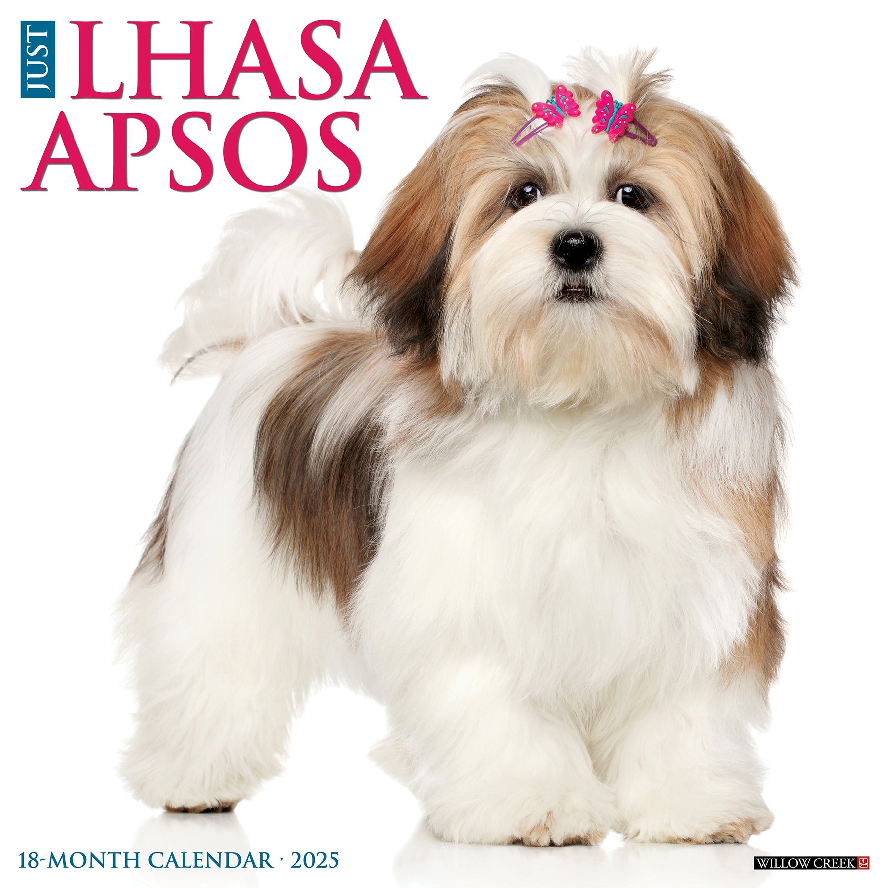 2025 Lhasa Apsos - Square Wall Calendar