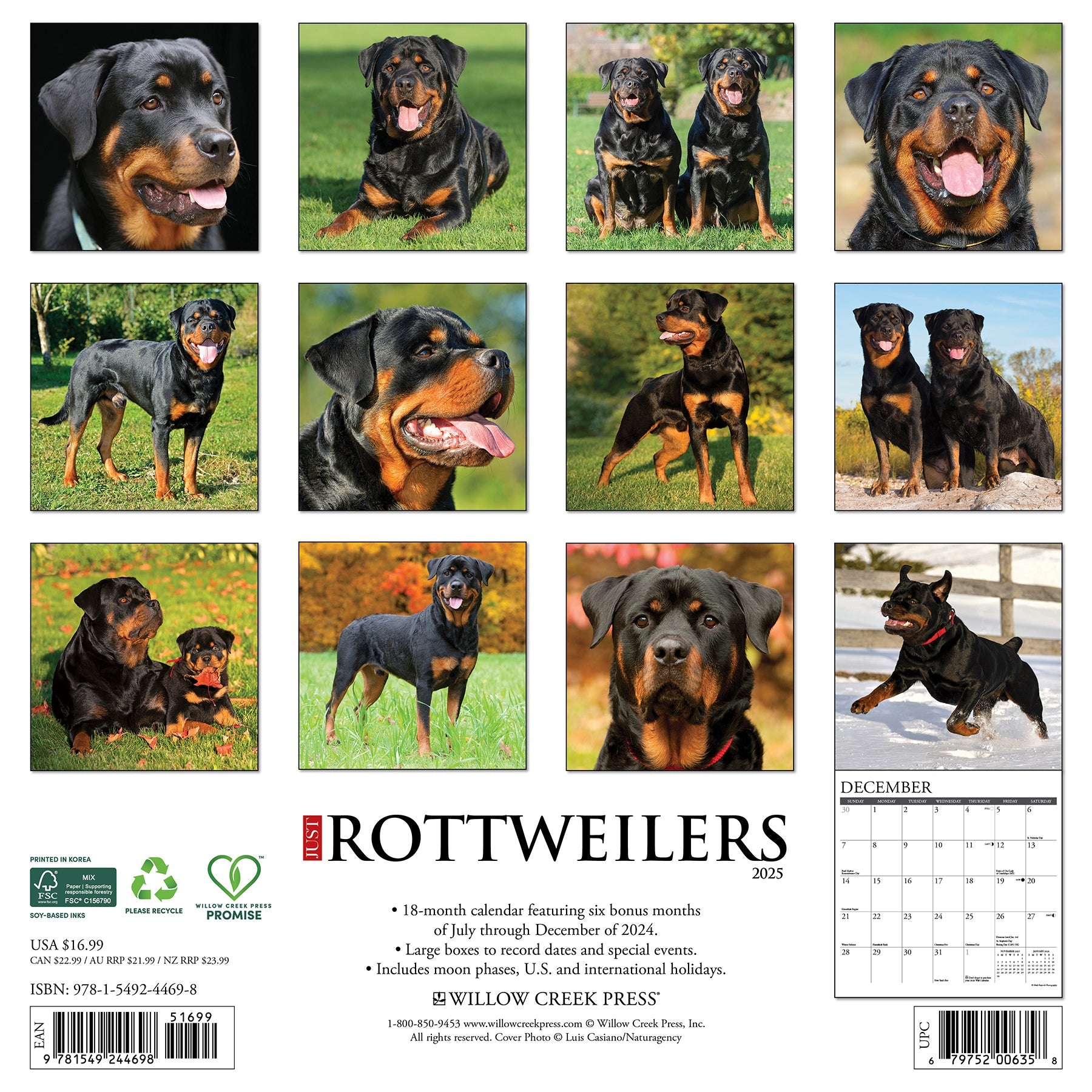 2025 Rottweilers - Square Wall Calendar