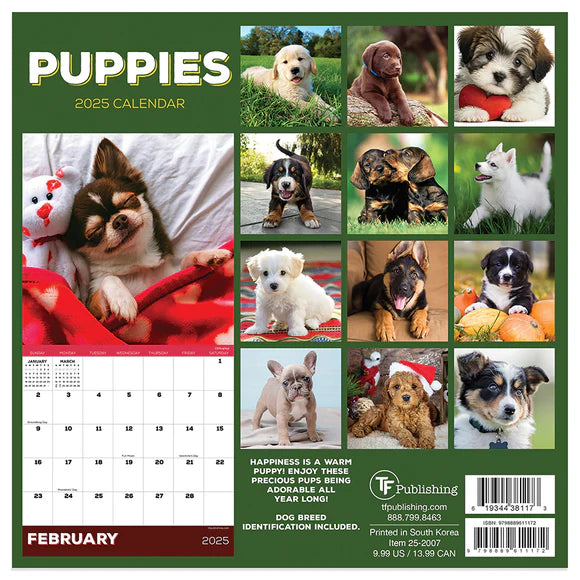 2025 Puppies - Mini Wall Calendar