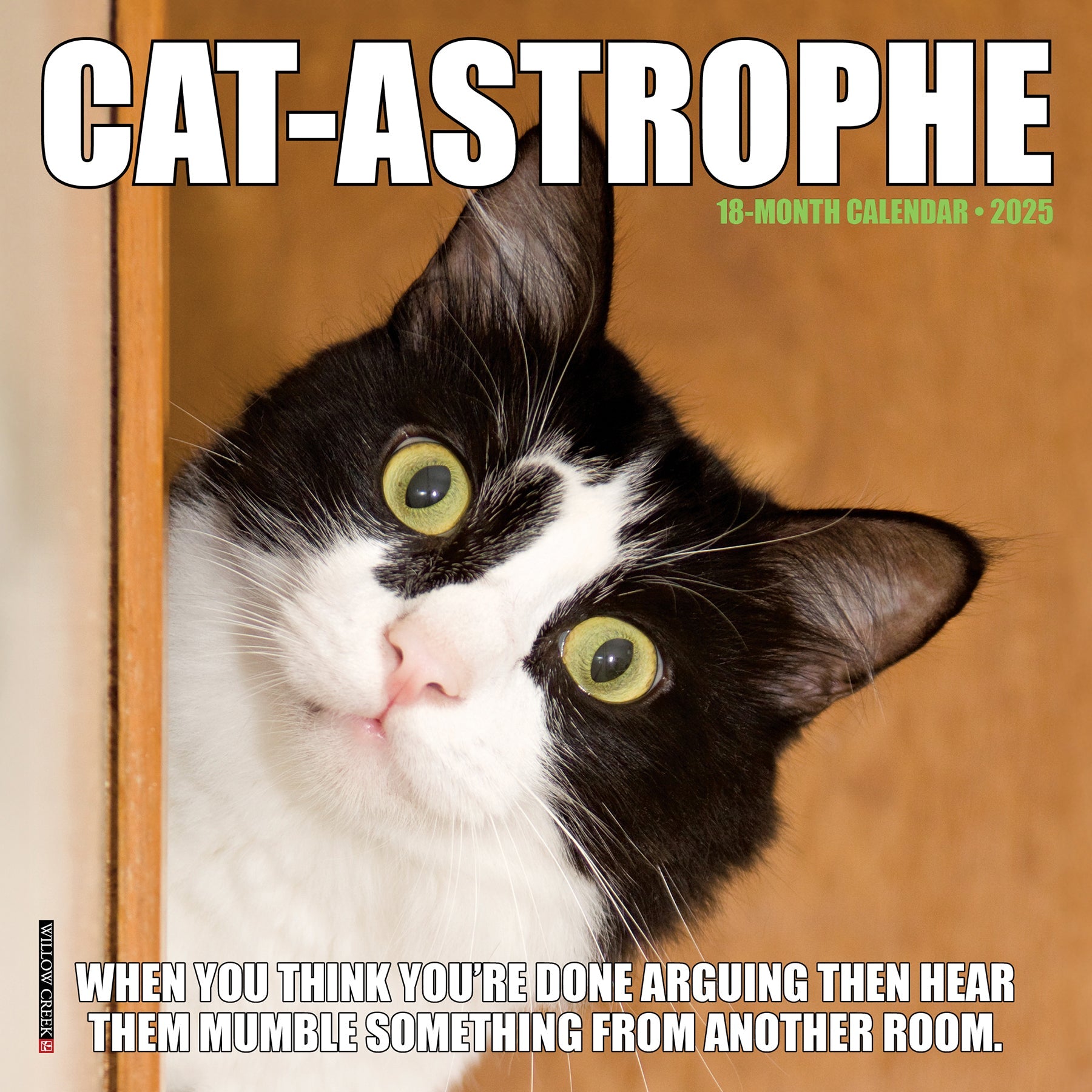 2025 Cat-astrophe - Mini Wall Calendar