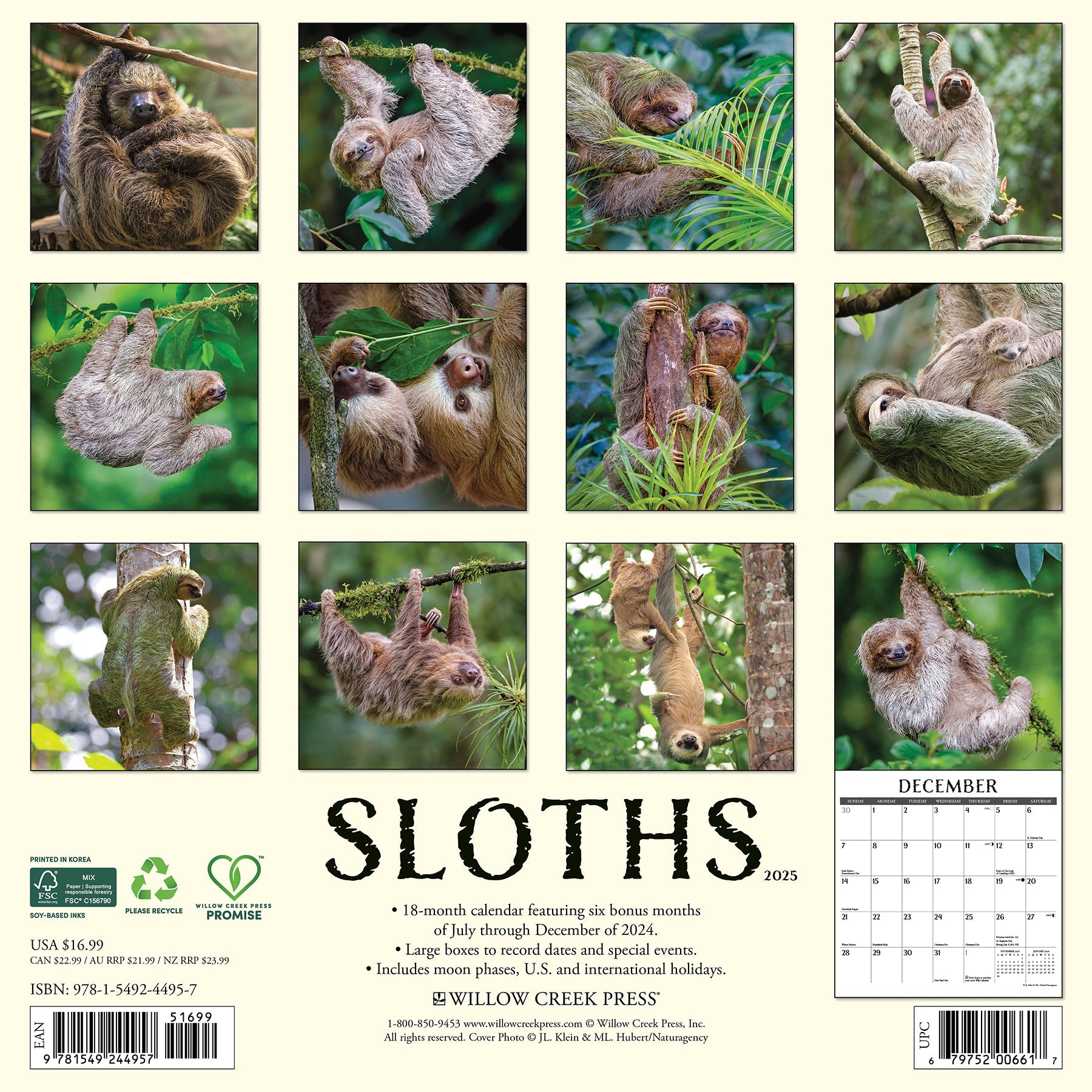 2025 Sloths - Square Wall Calendar