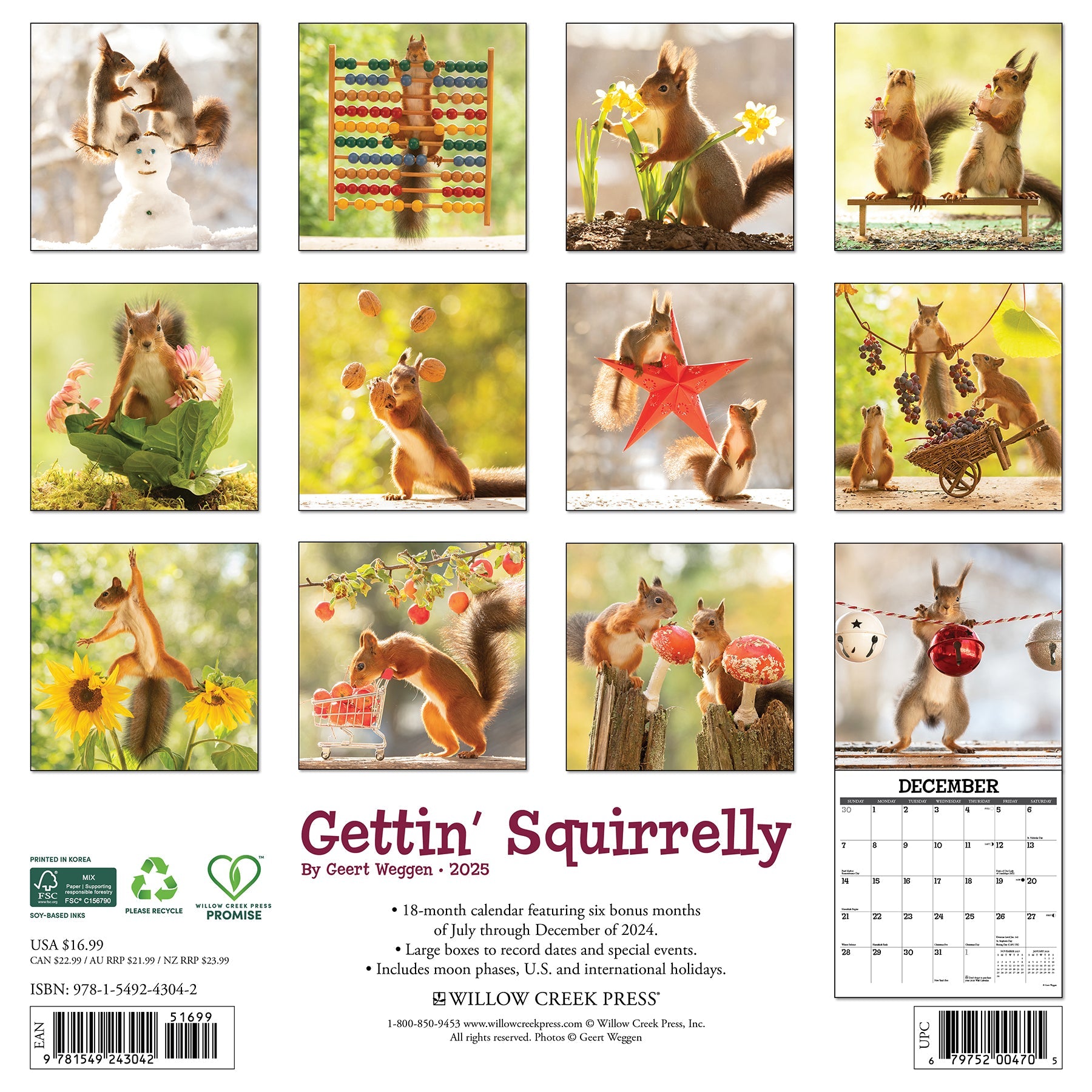 2025 Gettin' Squirrelly - Square Wall Calendar