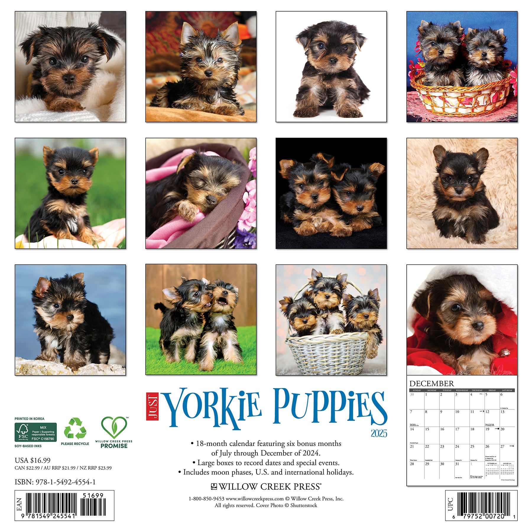 2025 Yorkie Puppies - Square Wall Calendar