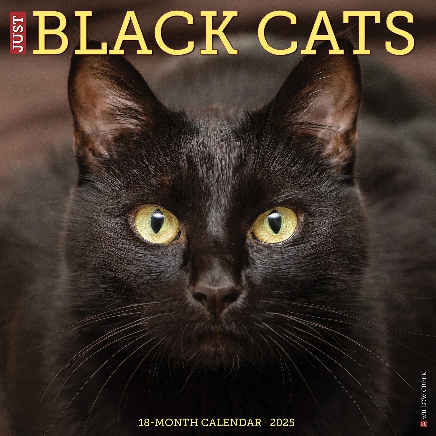 2025 Black Cats - Square Wall Calendar