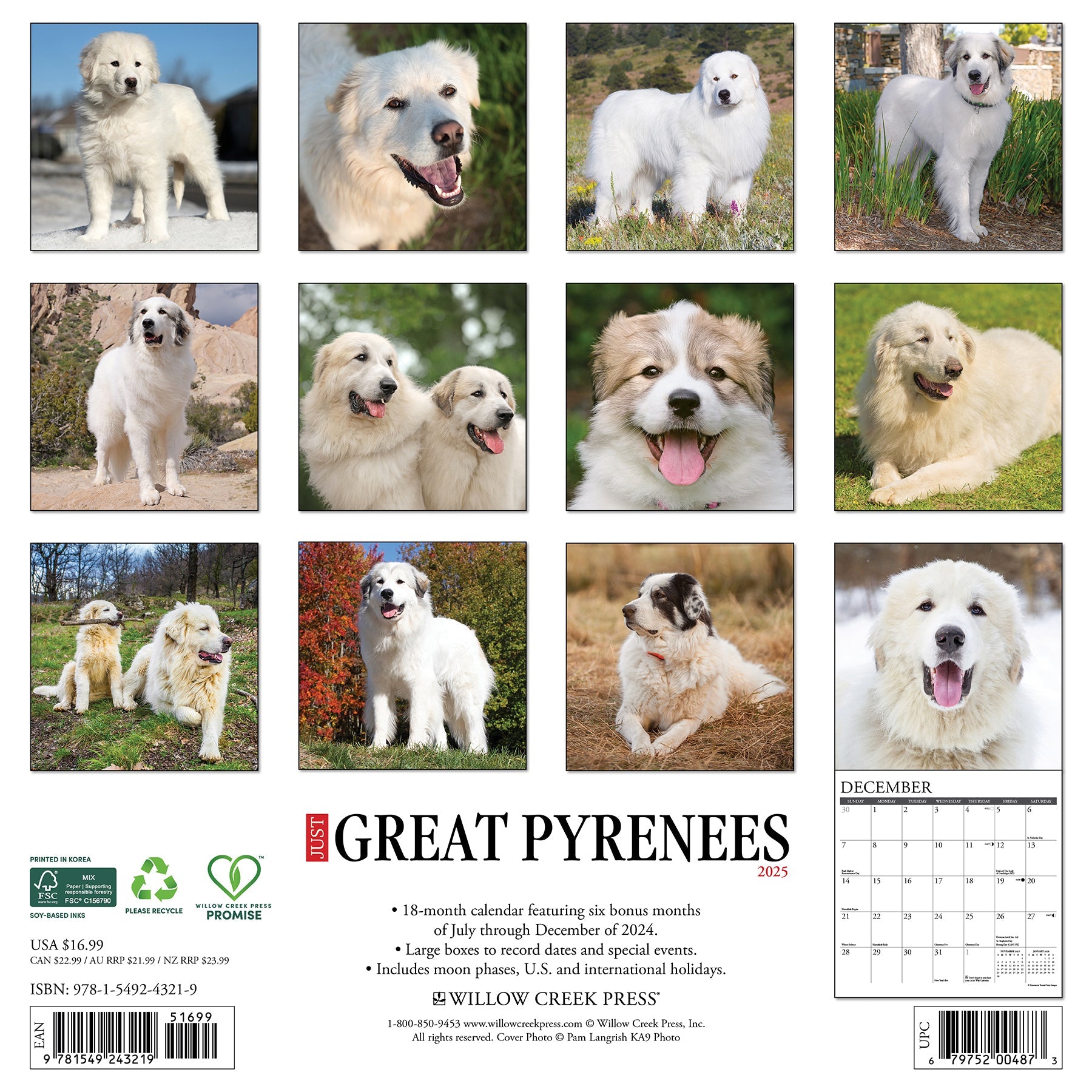 2025 Great Pyrenees - Square Wall Calendar