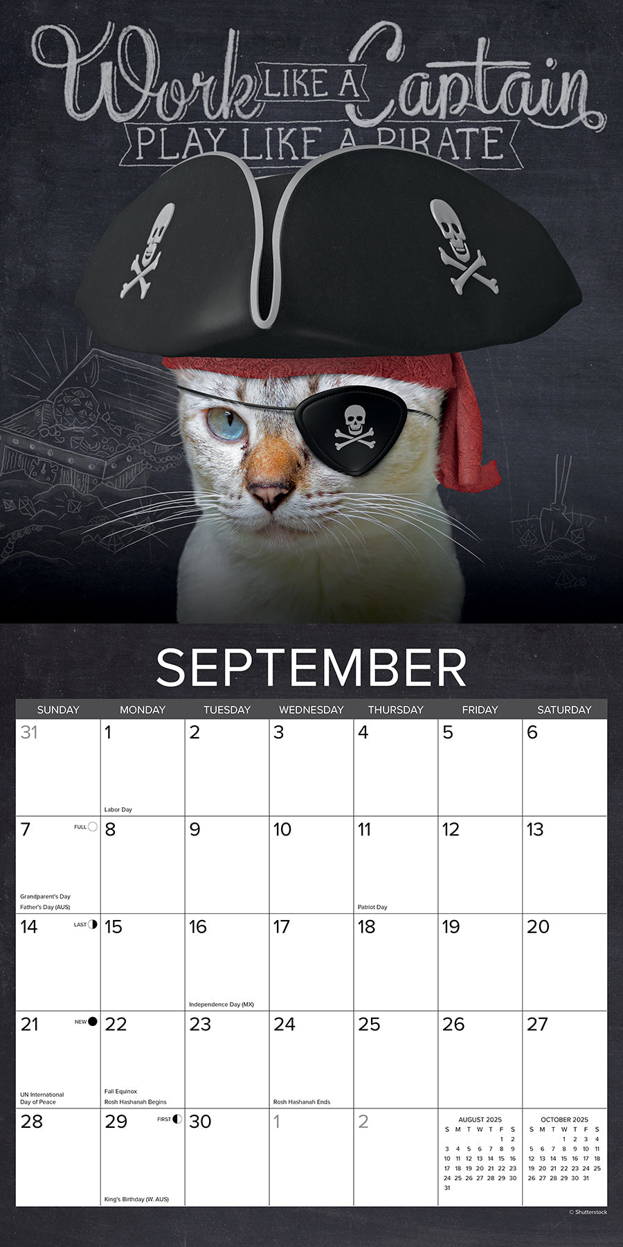 2025 Catspirations - Square Wall Calendar