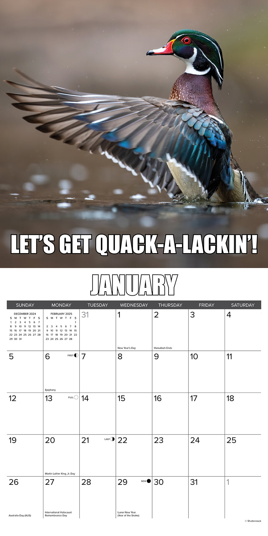 2025 Wise Quacking - Square Wall Calendar