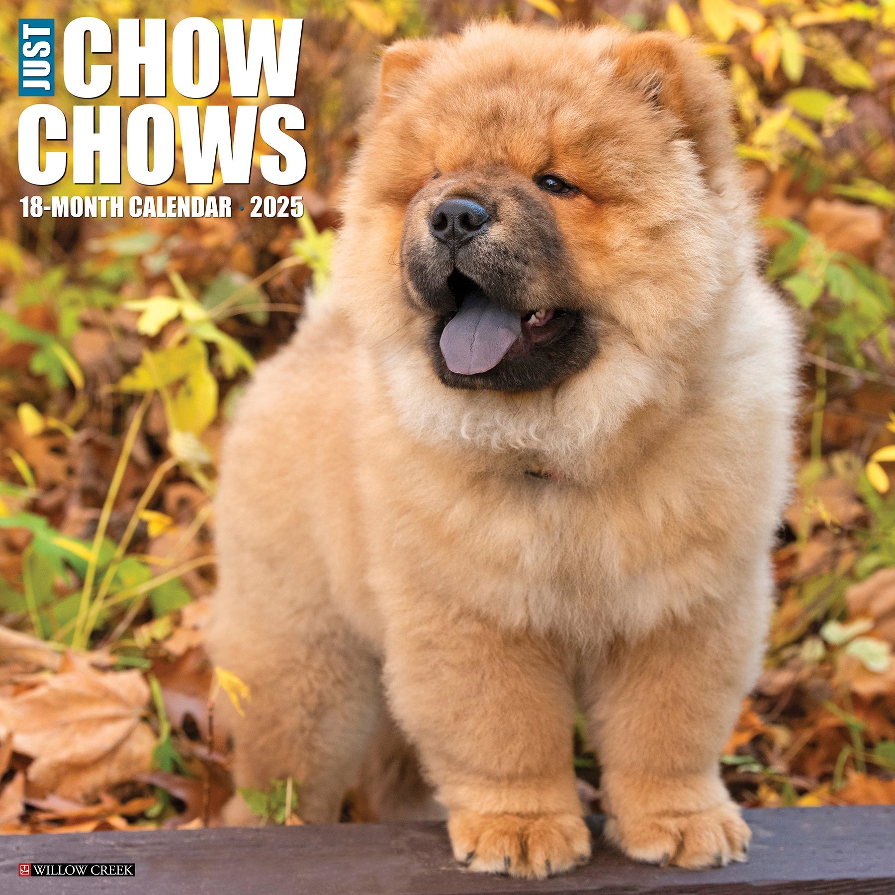 2025 Chow Chows - Square Wall Calendar