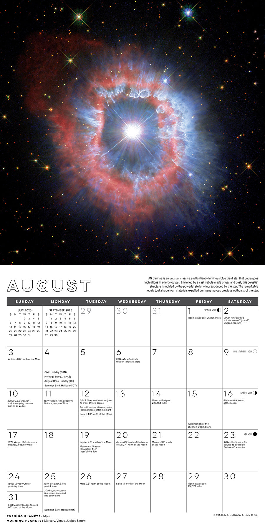 2025 Astronomy (w/foil) - Square Wall Calendar