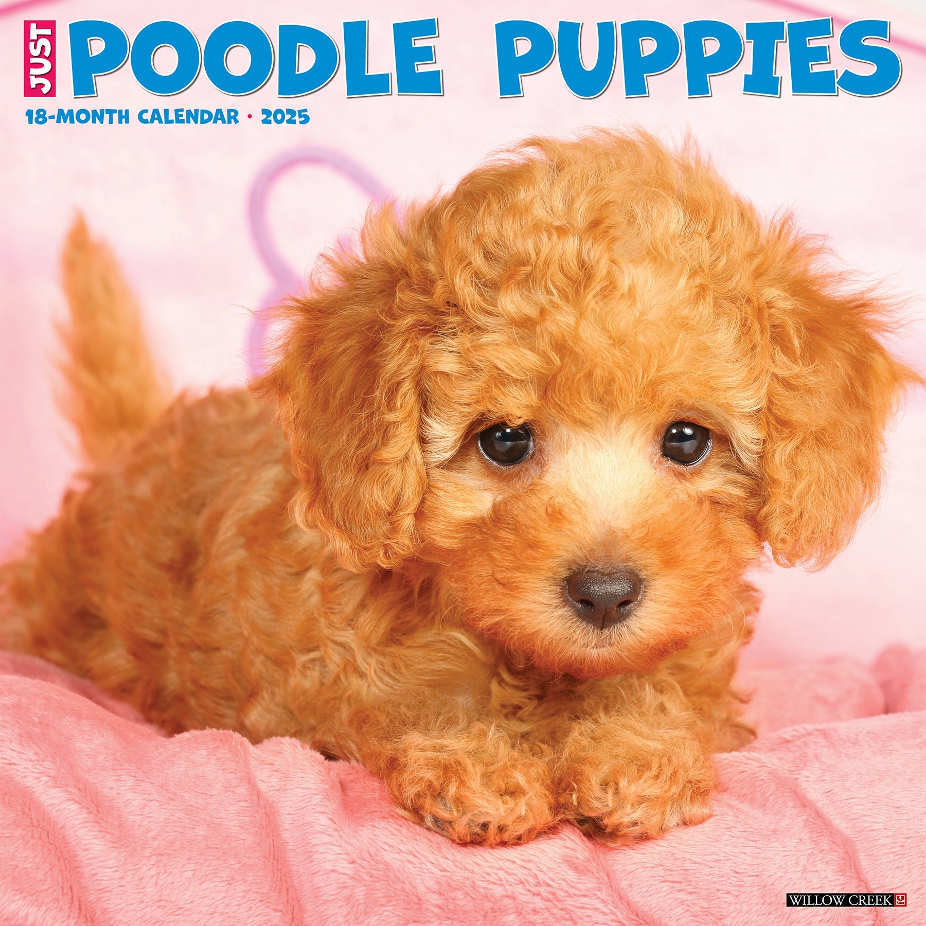 2025 Poodle Puppies - Square Wall Calendar