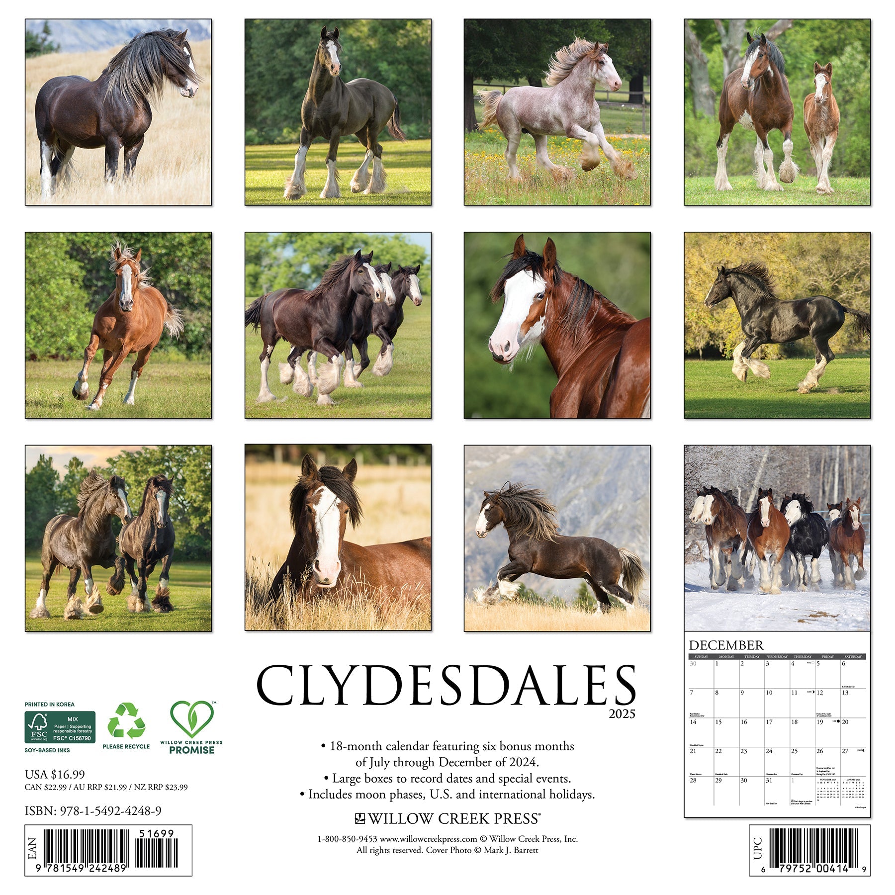 2025 Clydesdales - Square Wall Calendar