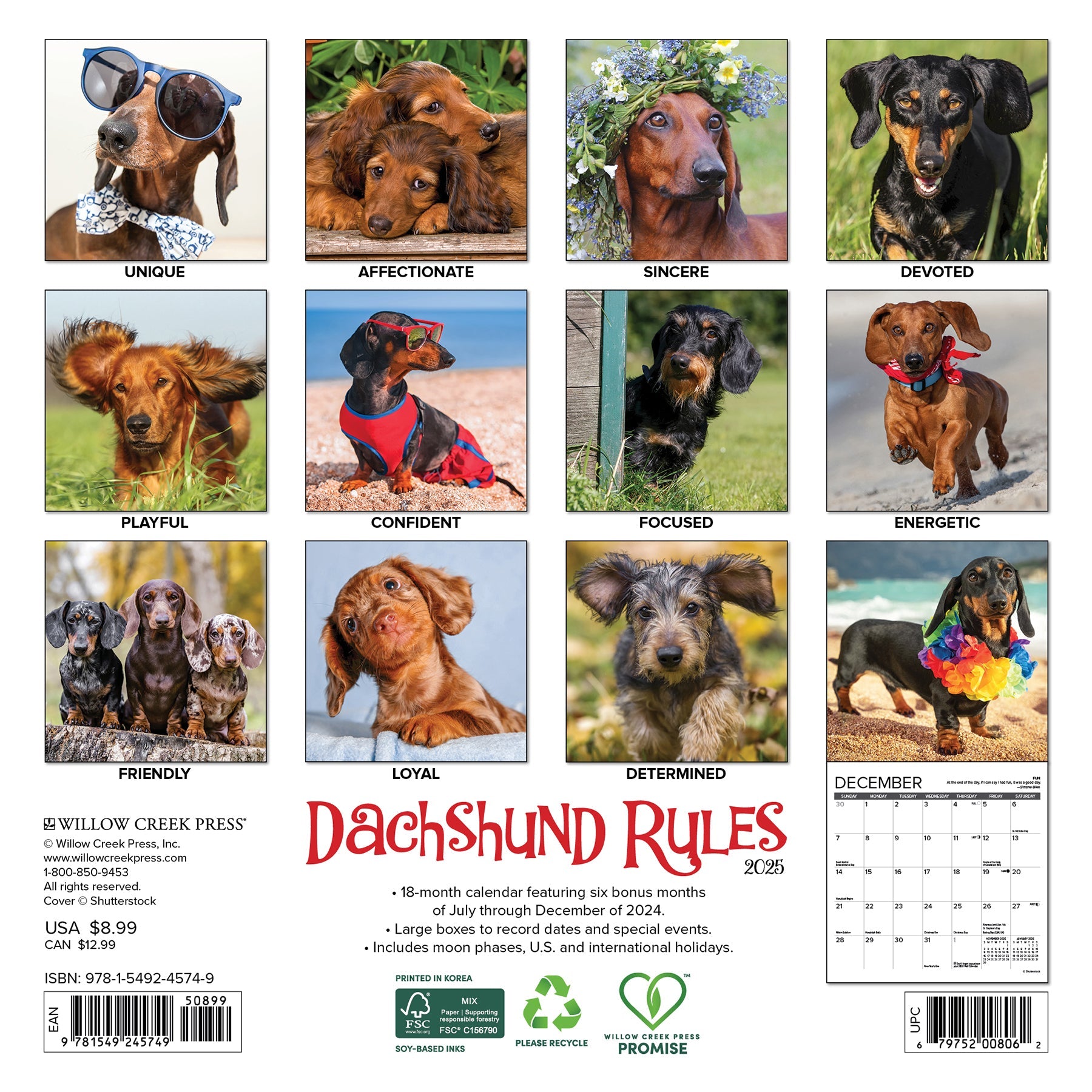 2025 Dachshund Rules - Mini Wall Calendar