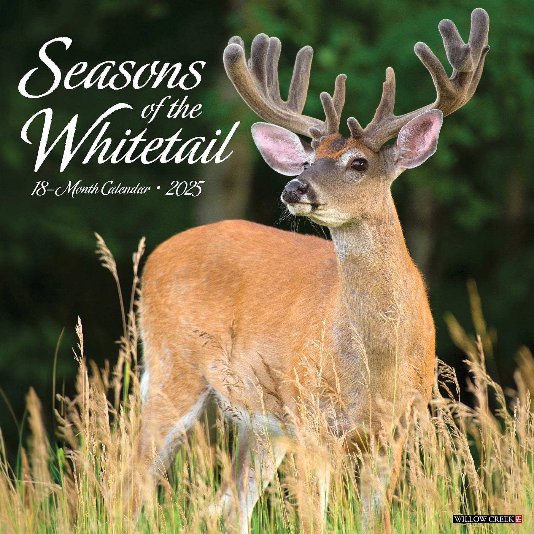 2025 Seasons of the Whitetail (Deer) - Square Wall Calendar