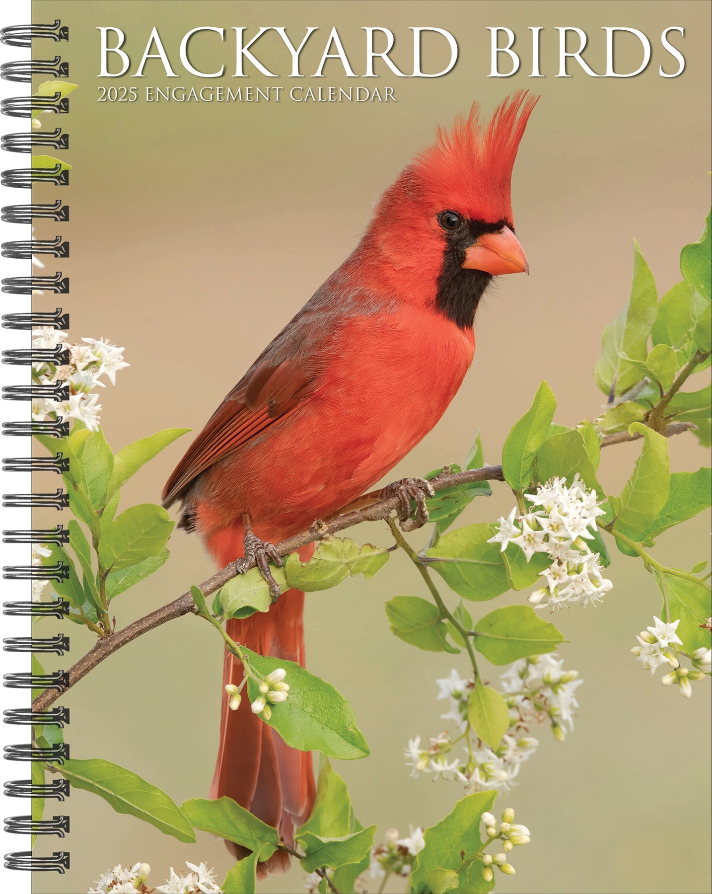 2025 Backyard Birds - Weekly Diary/Planner