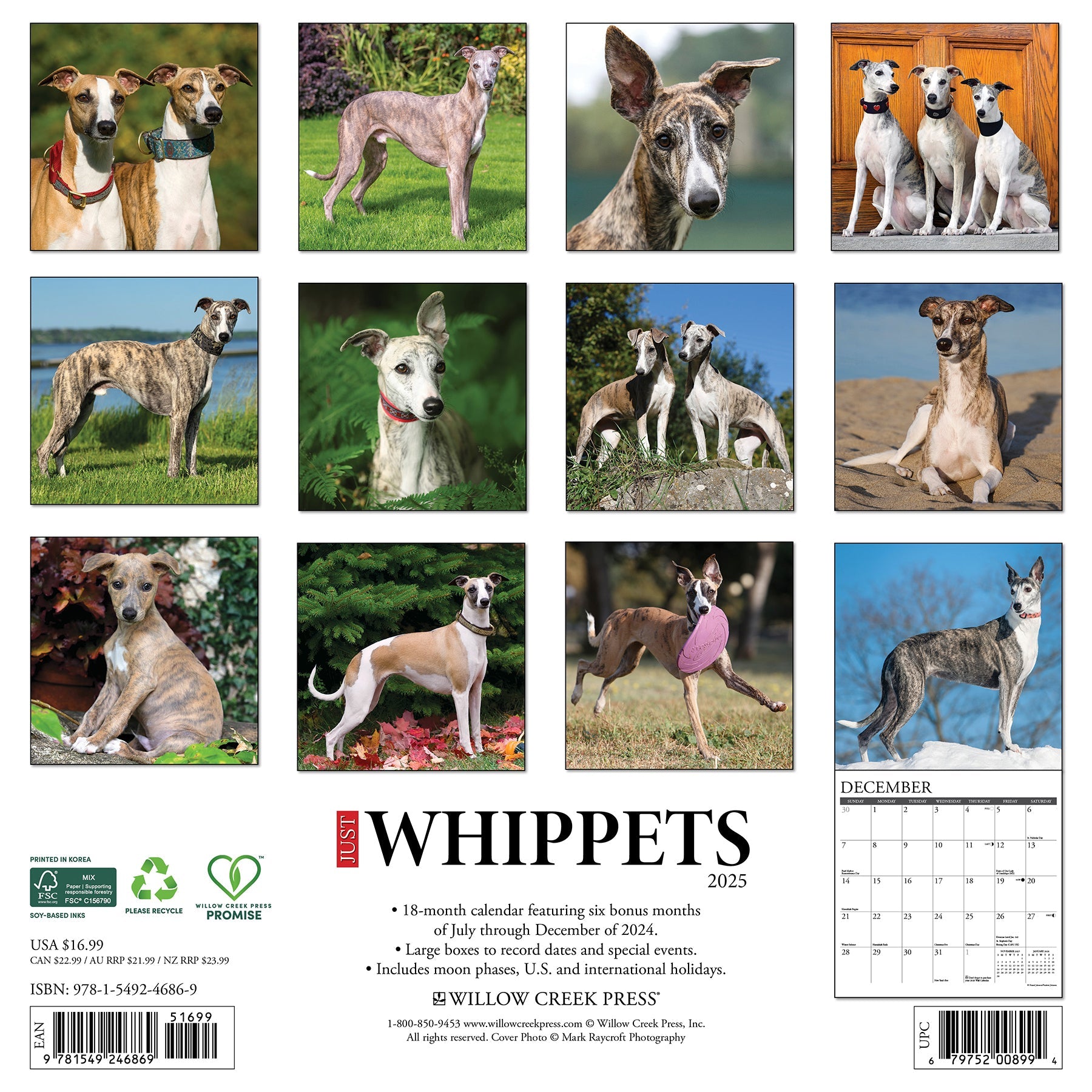 2025 Whippets - Square Wall Calendar