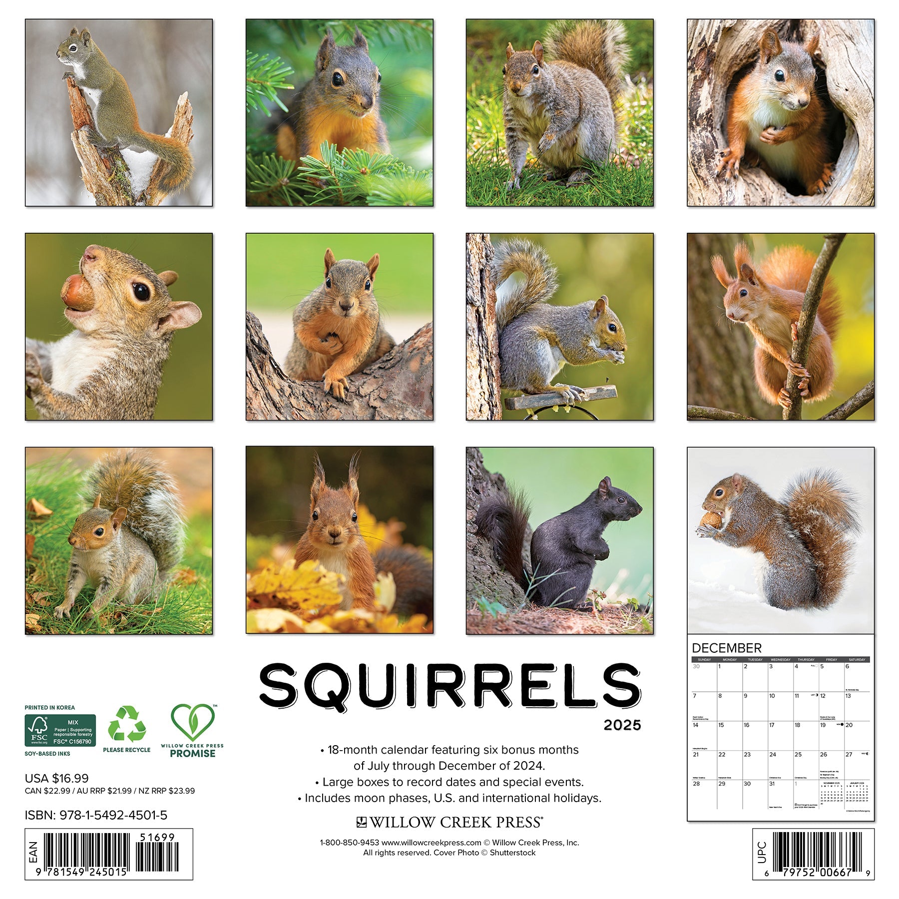 2025 Squirrels - Square Wall Calendar