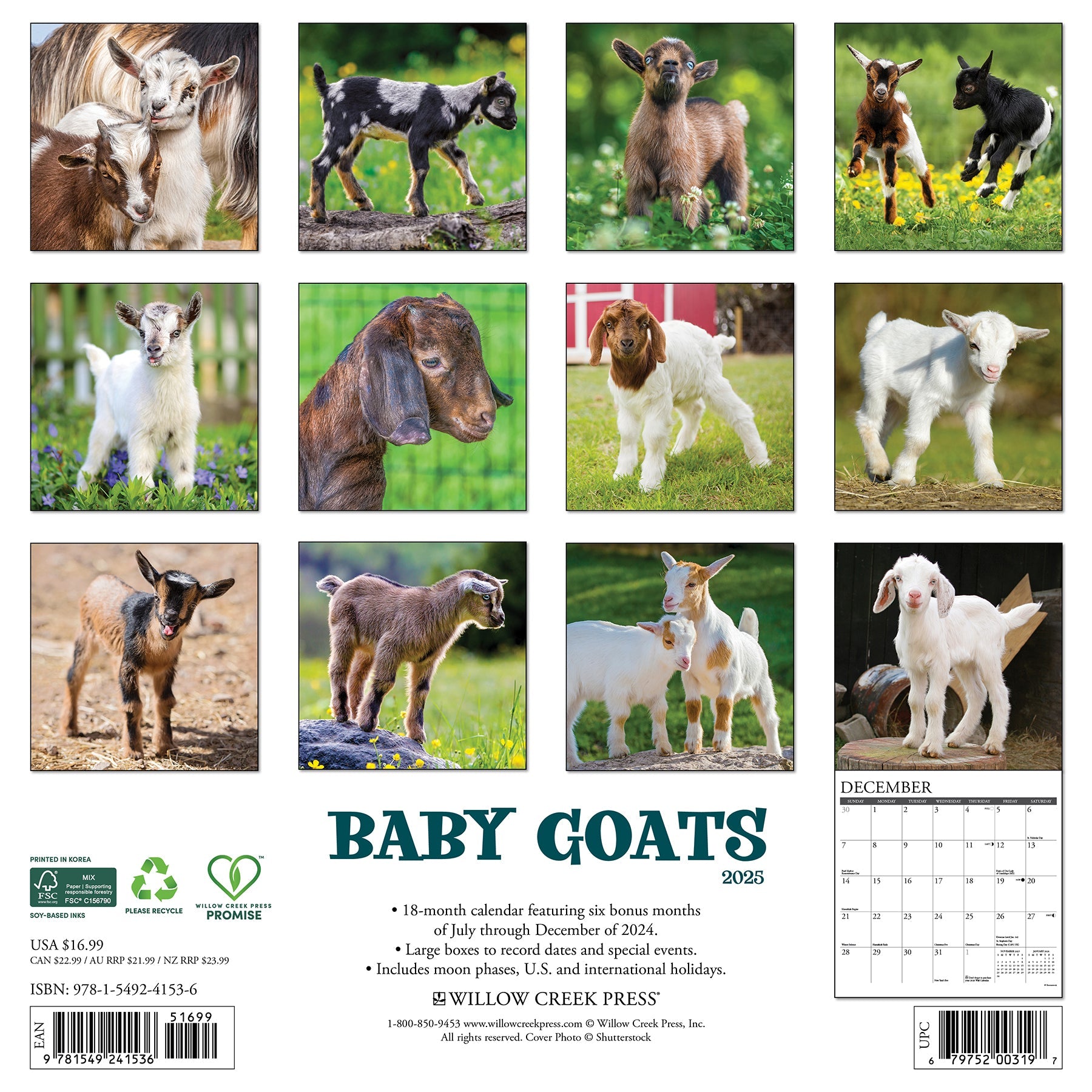 2025 Baby Goats - Square Wall Calendar