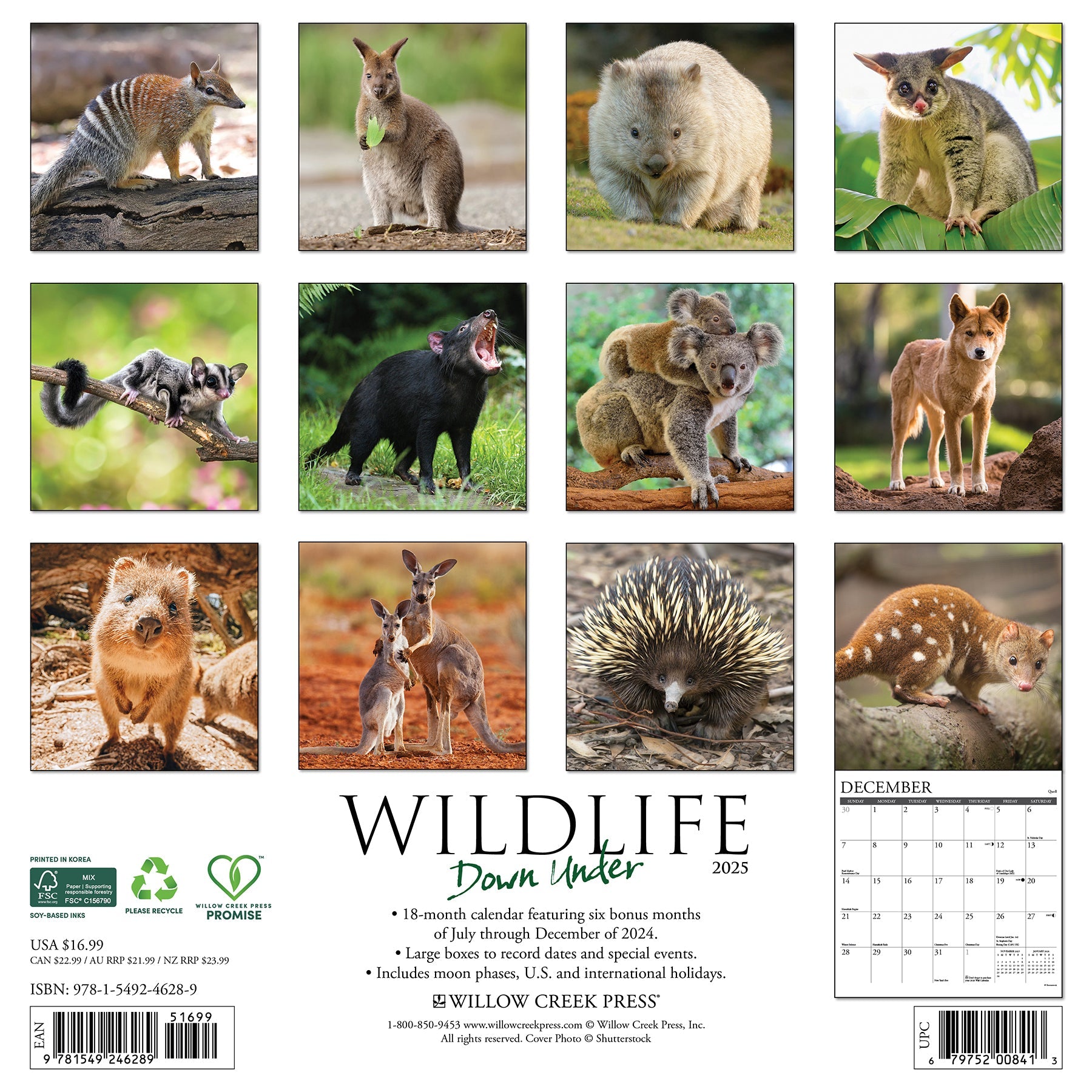 2025 Wildlife Down Under - Square Wall Calendar