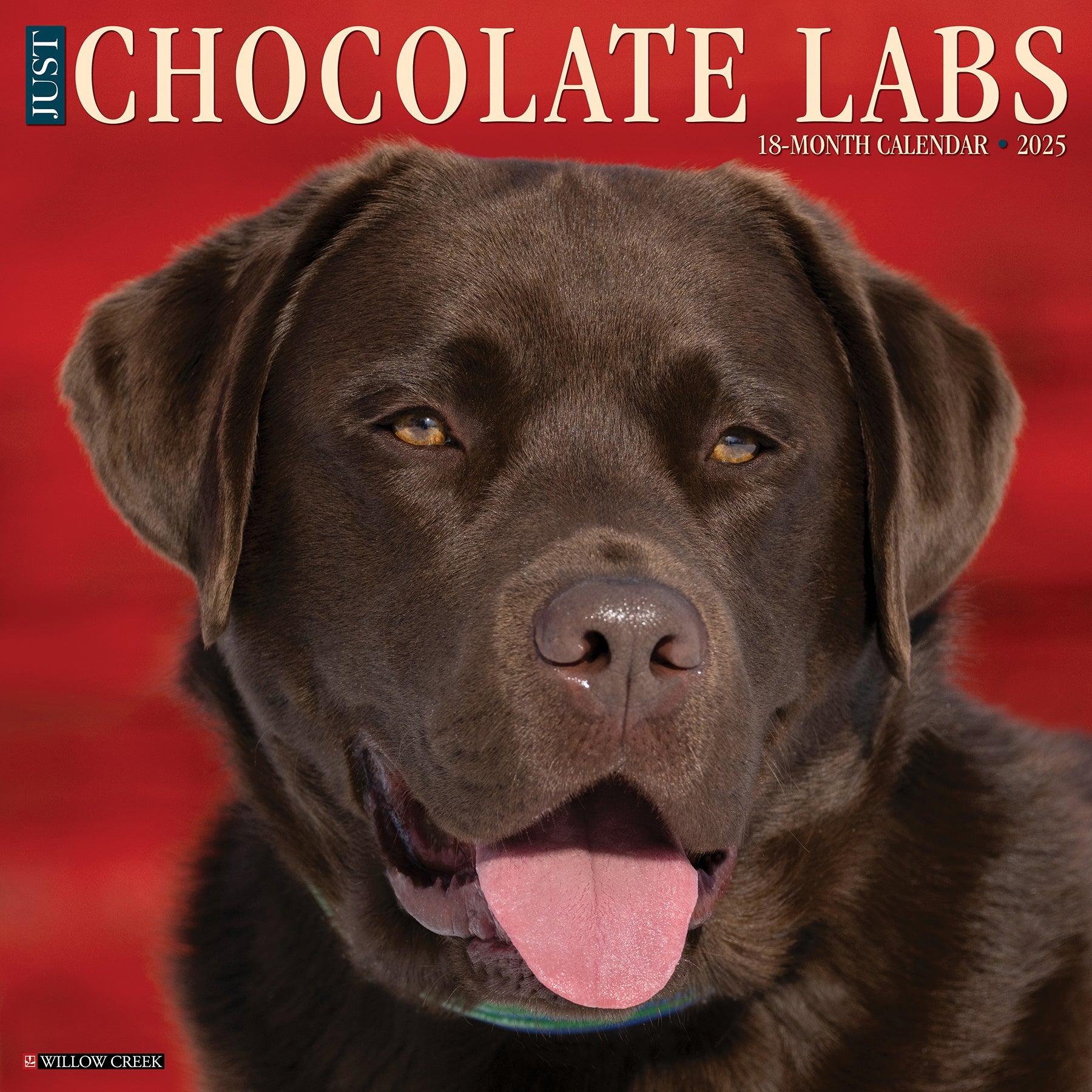 2025 Chocolate Labs - Square Wall Calendar