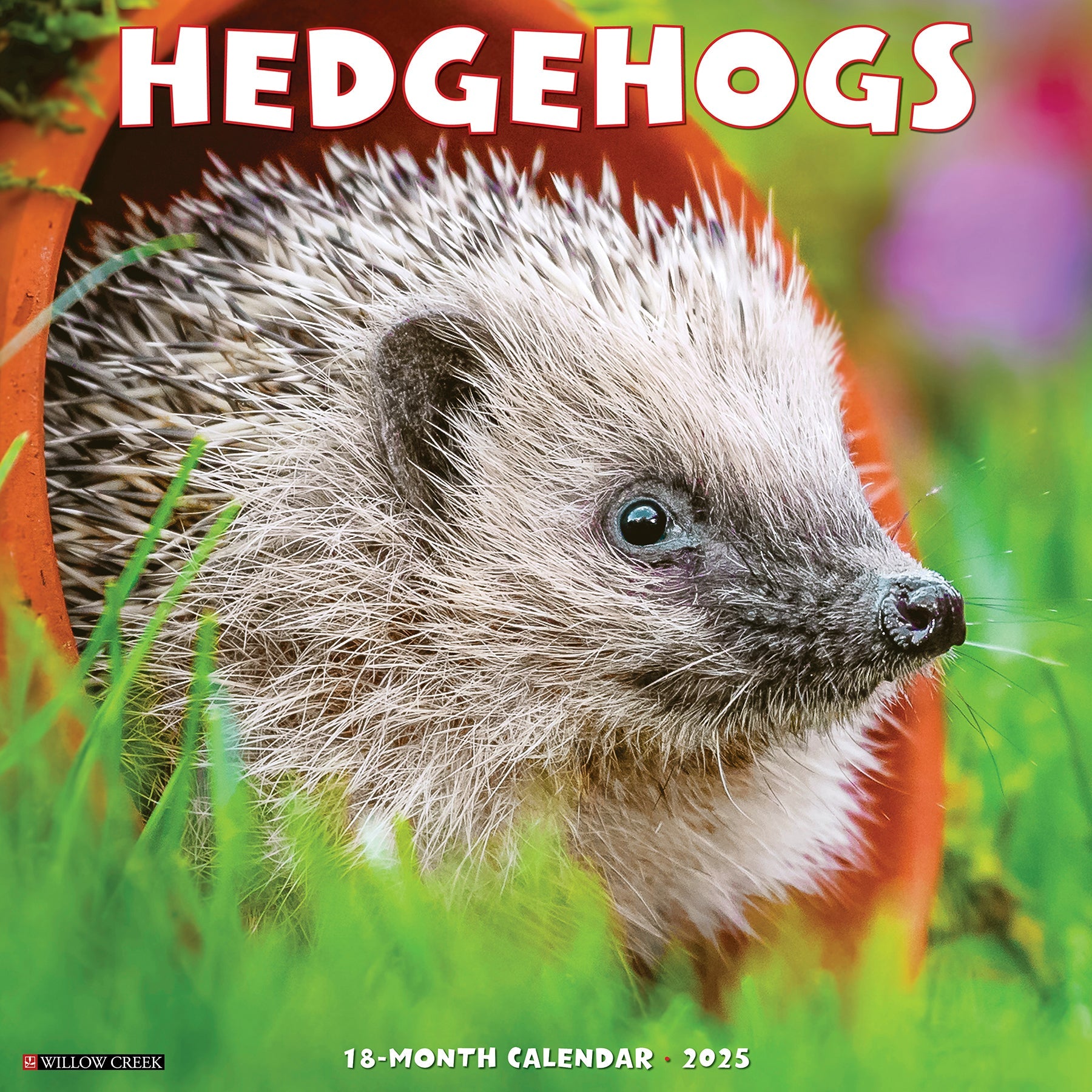 2025 Hedgehogs - Square Wall Calendar