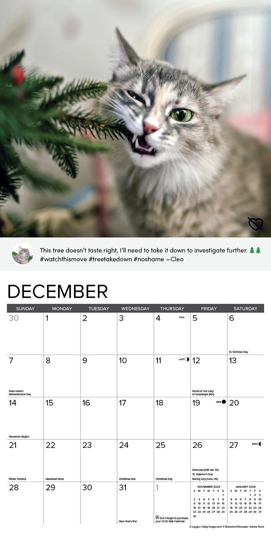 2025 Cat Shaming - Square Wall Calendar