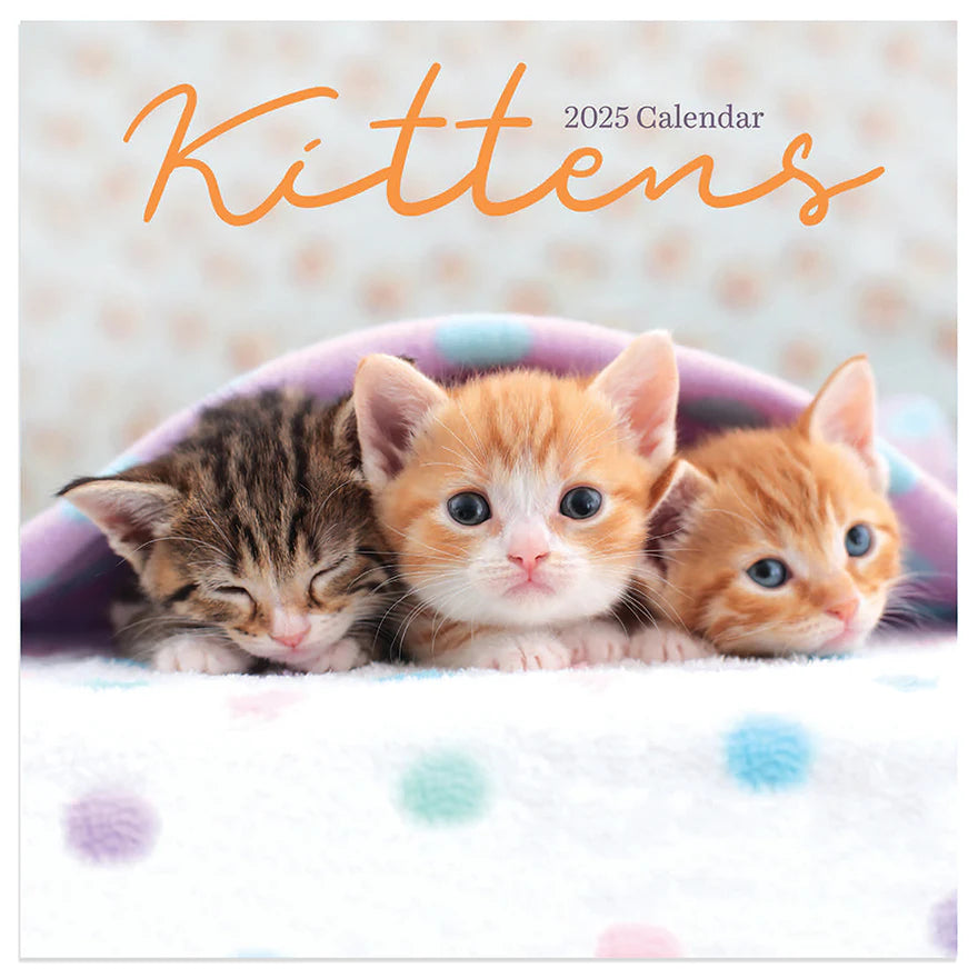 2025 Kittens - Mini Wall Calendar