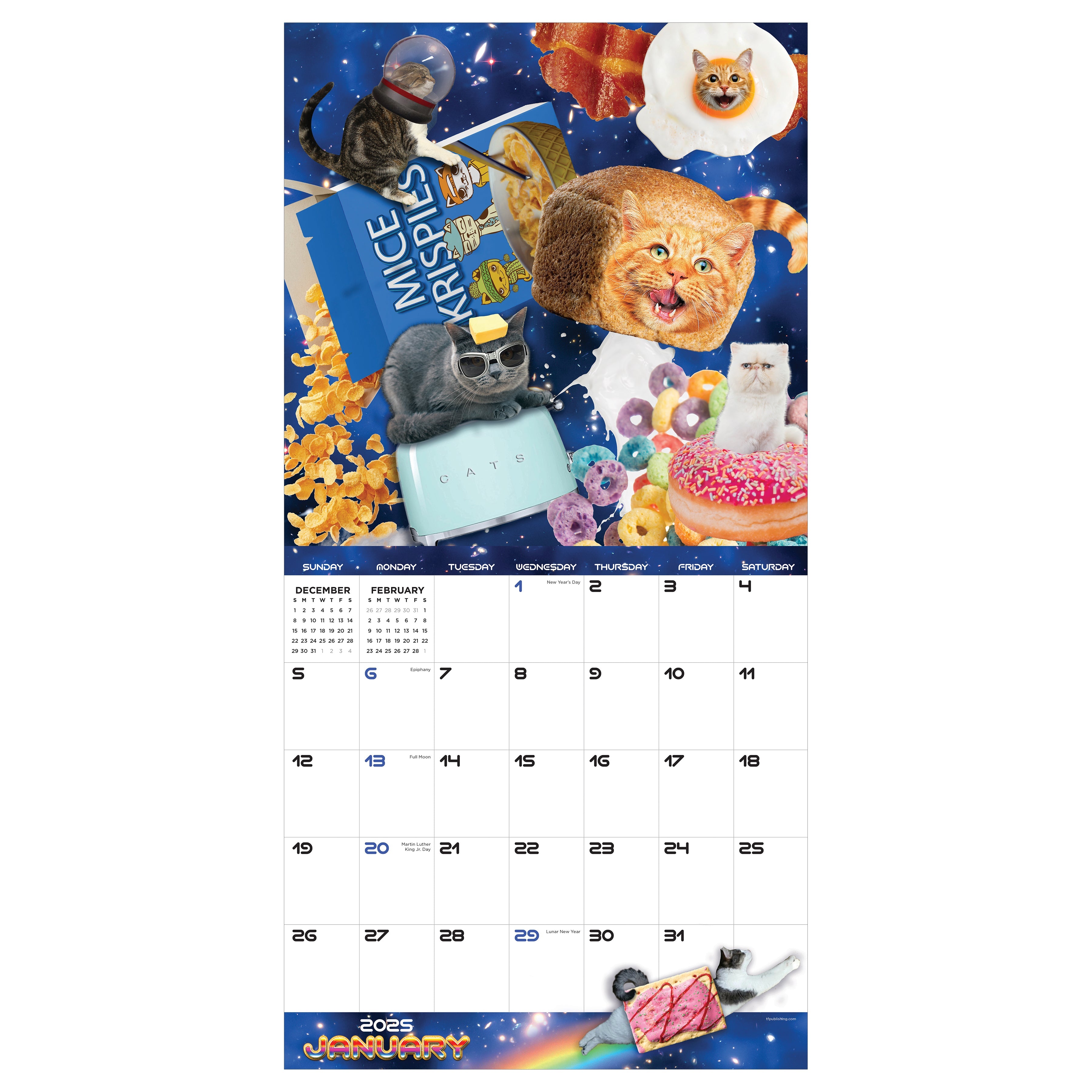 2025 Space Cats - Square Wall Calendar
