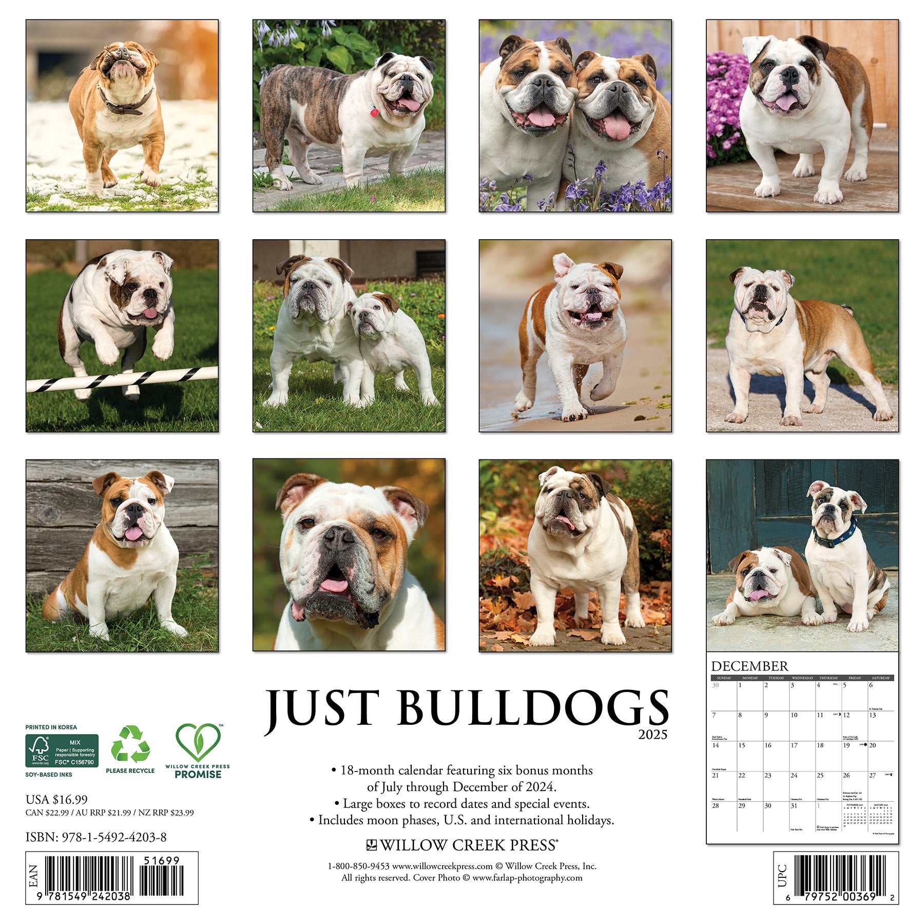 2025 Bulldogs - Square Wall Calendar