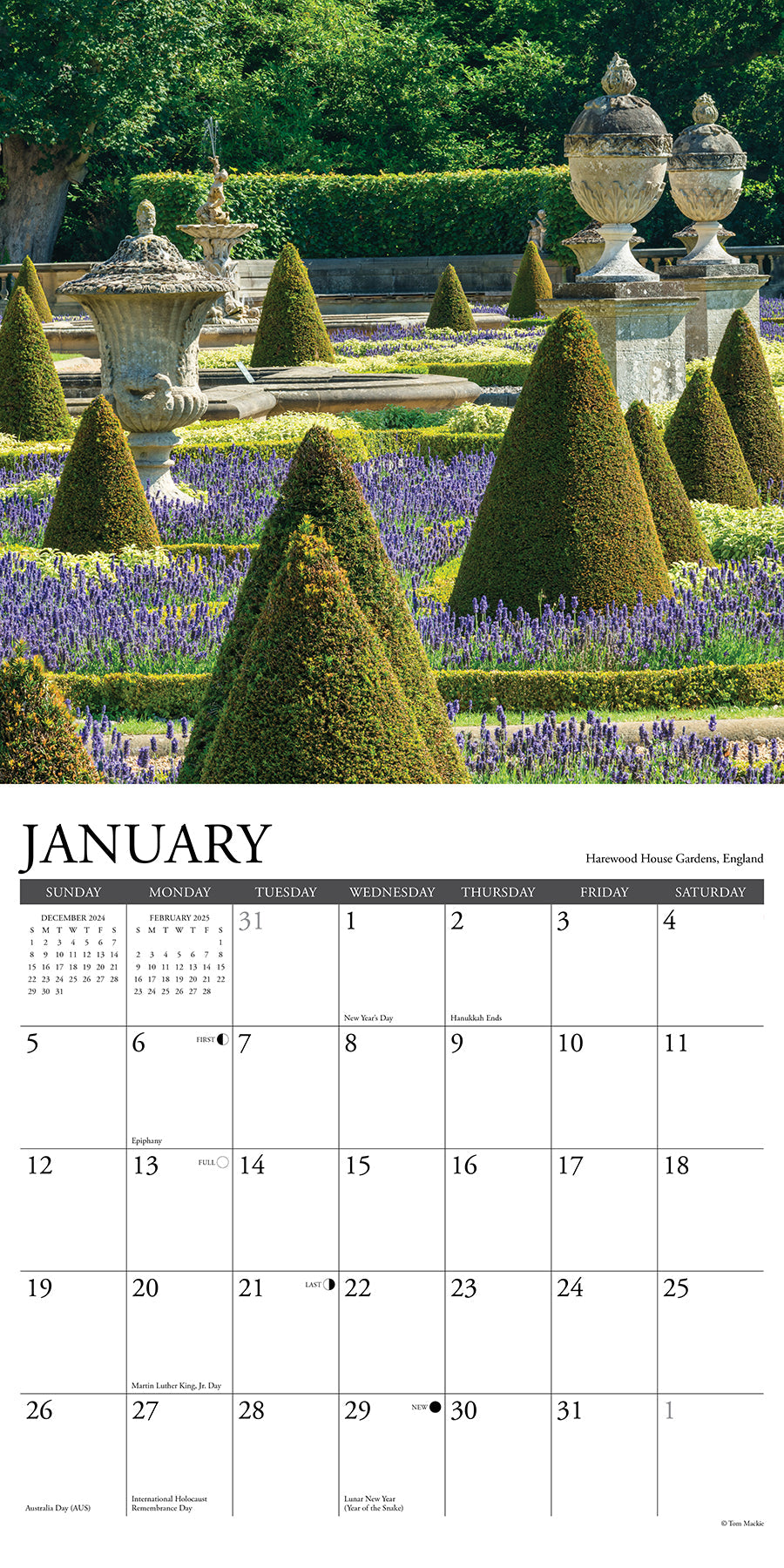 2025 Garden View - Square Wall Calendar