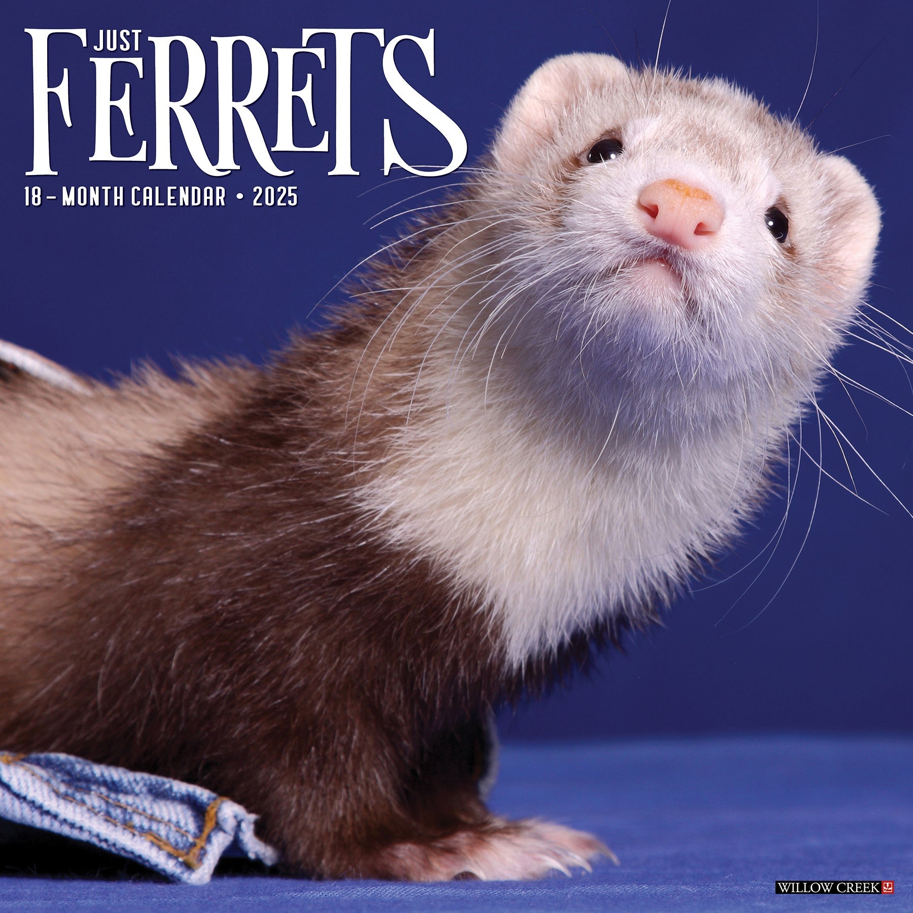 2025 Ferrets - Square Wall Calendar