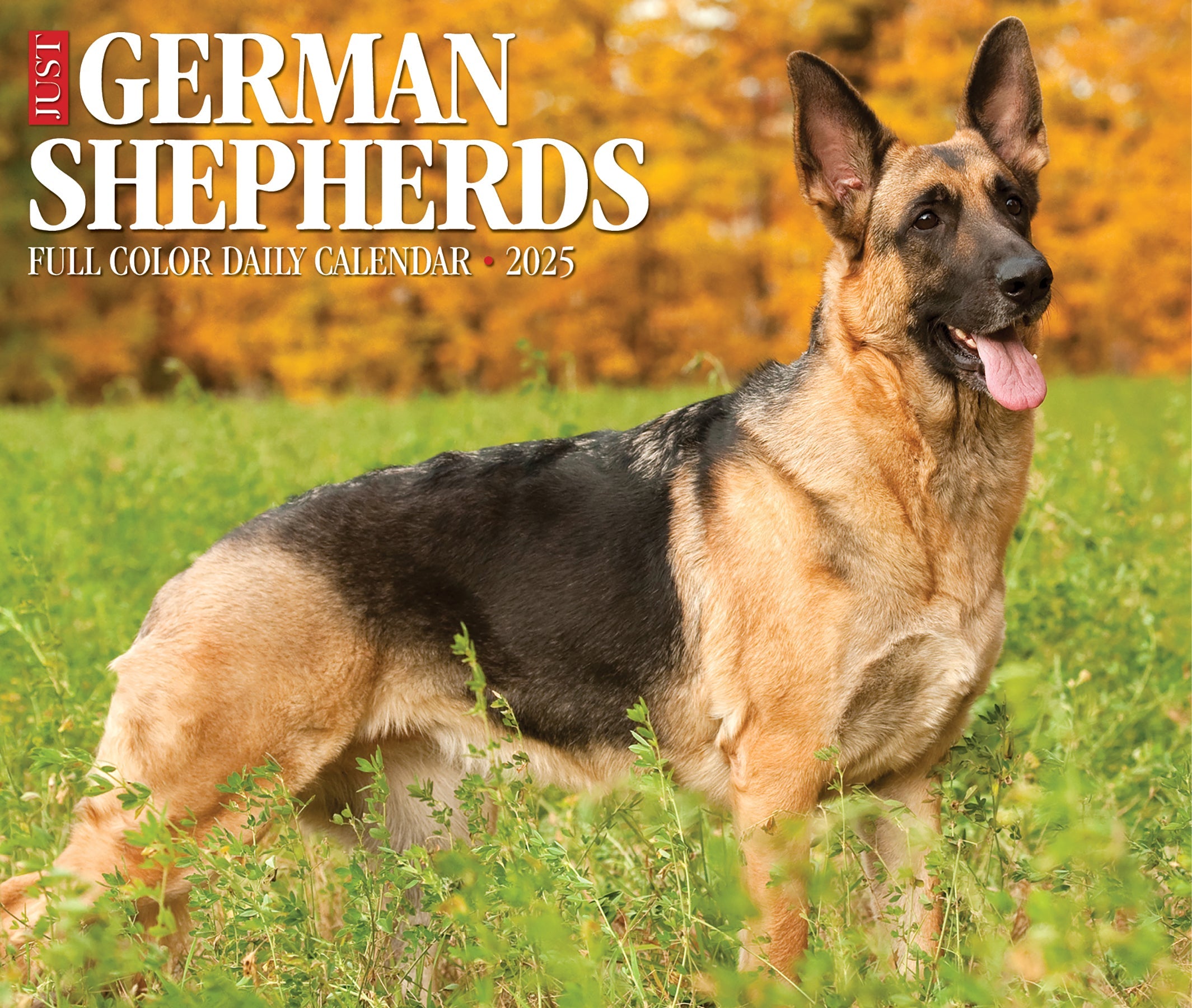 2025 German Shepherds - Daily Boxed Page-A-Day Calendar